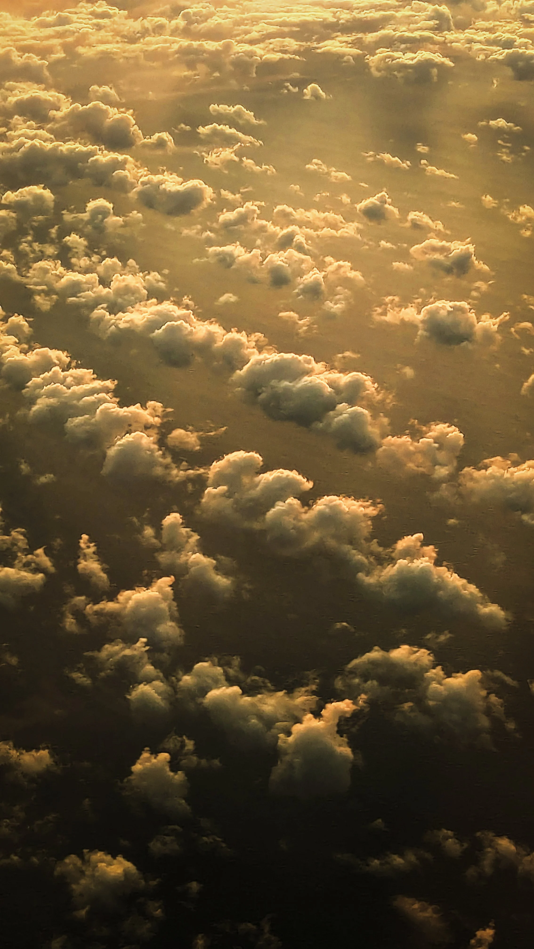 Hawaii - Geoff Rhodes - Ridgeline Creative (16).jpg