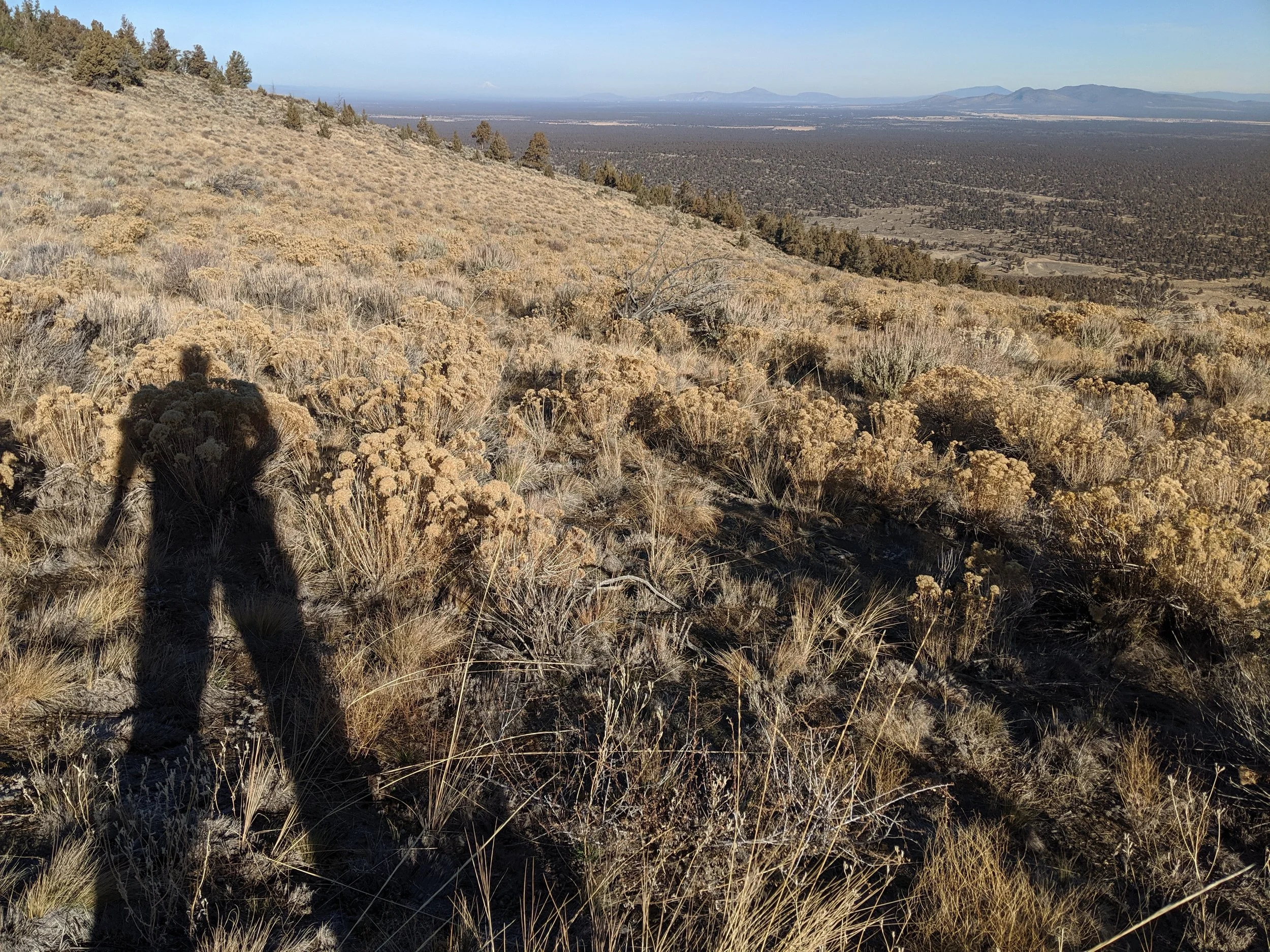 Shadow Games - Geoff Rhodes (23).jpg