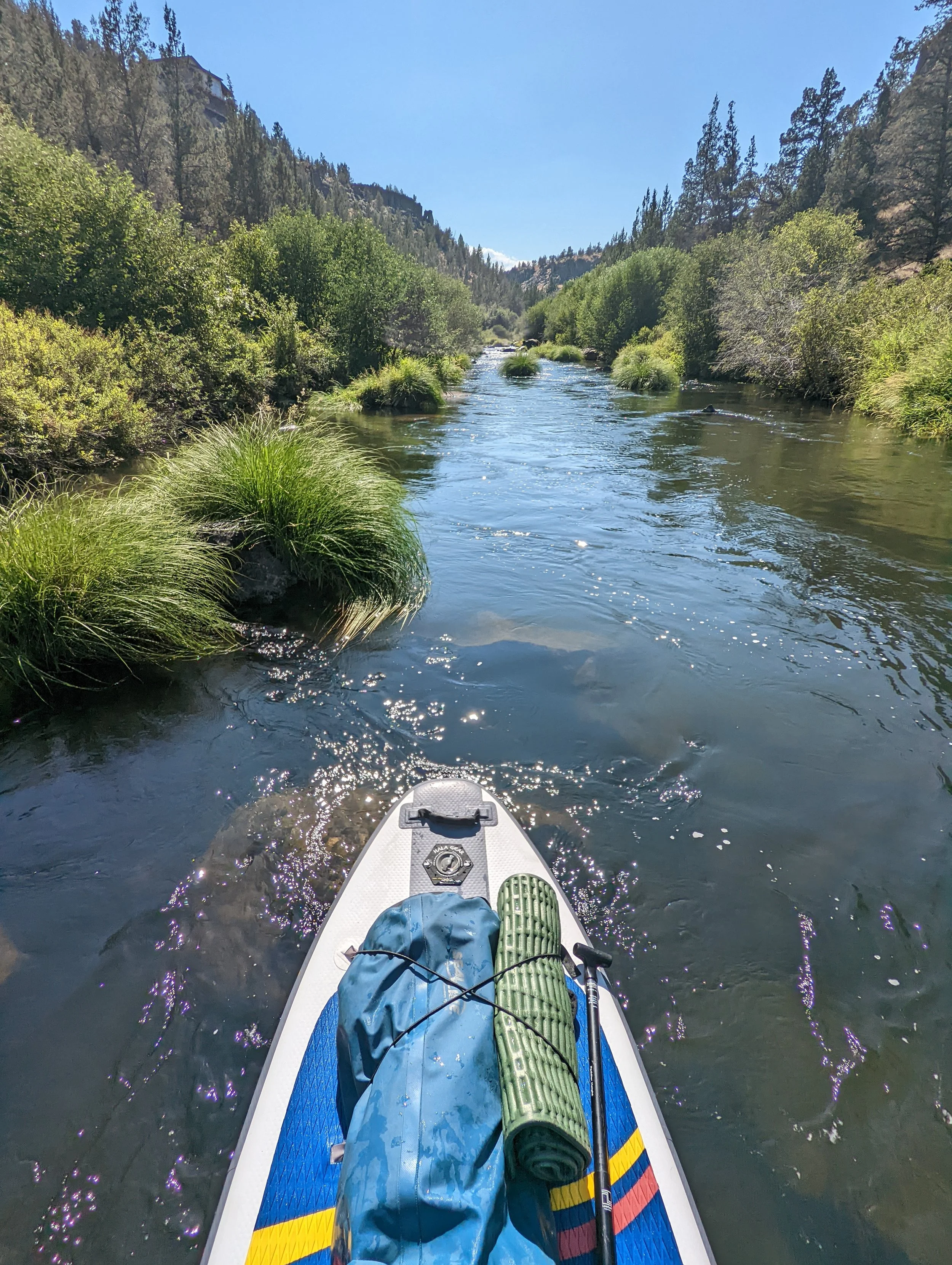 Just the Tip - SUP - Hala (3).jpg