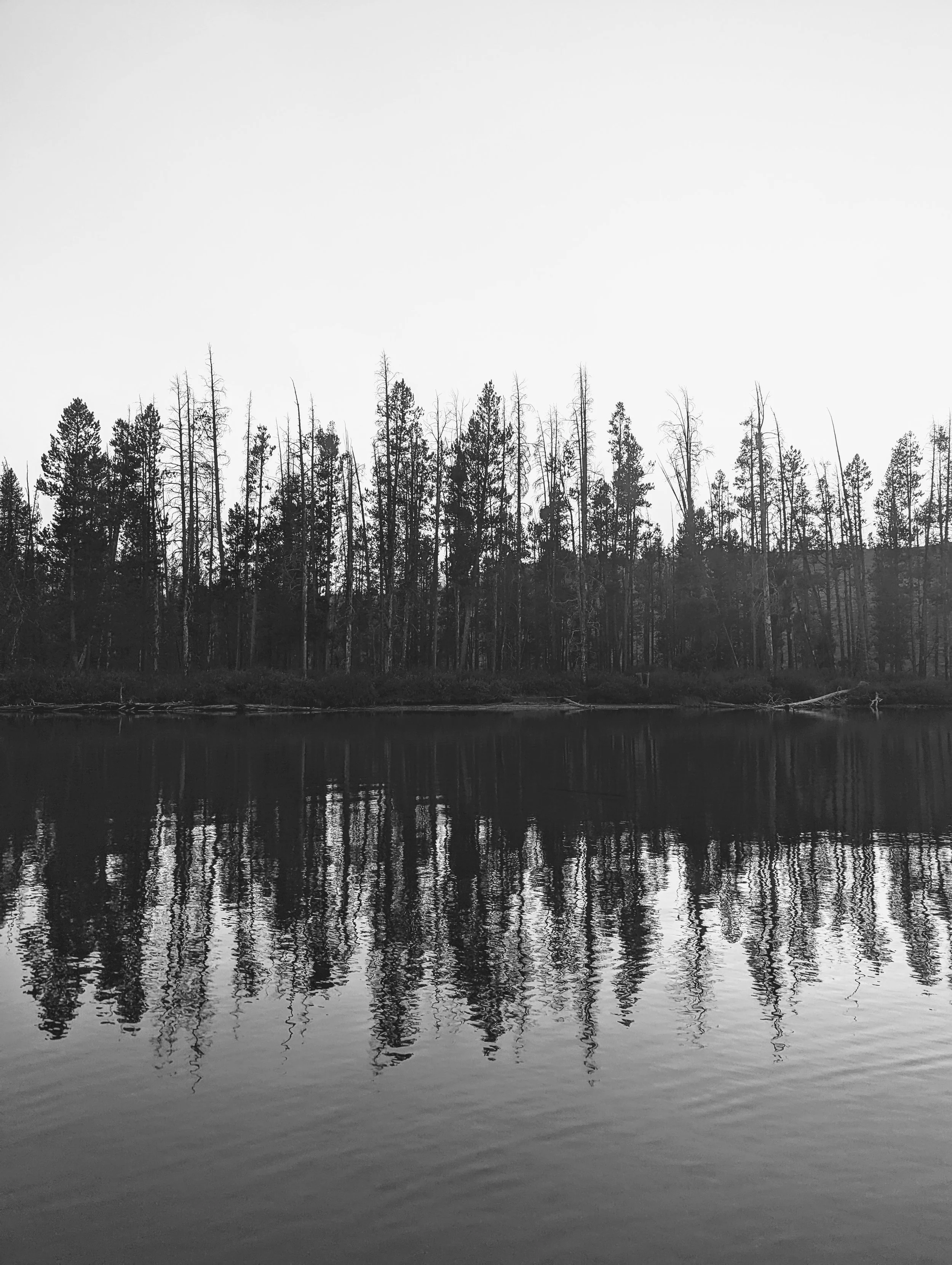 Composition - Geoff Rhodes (64).jpg