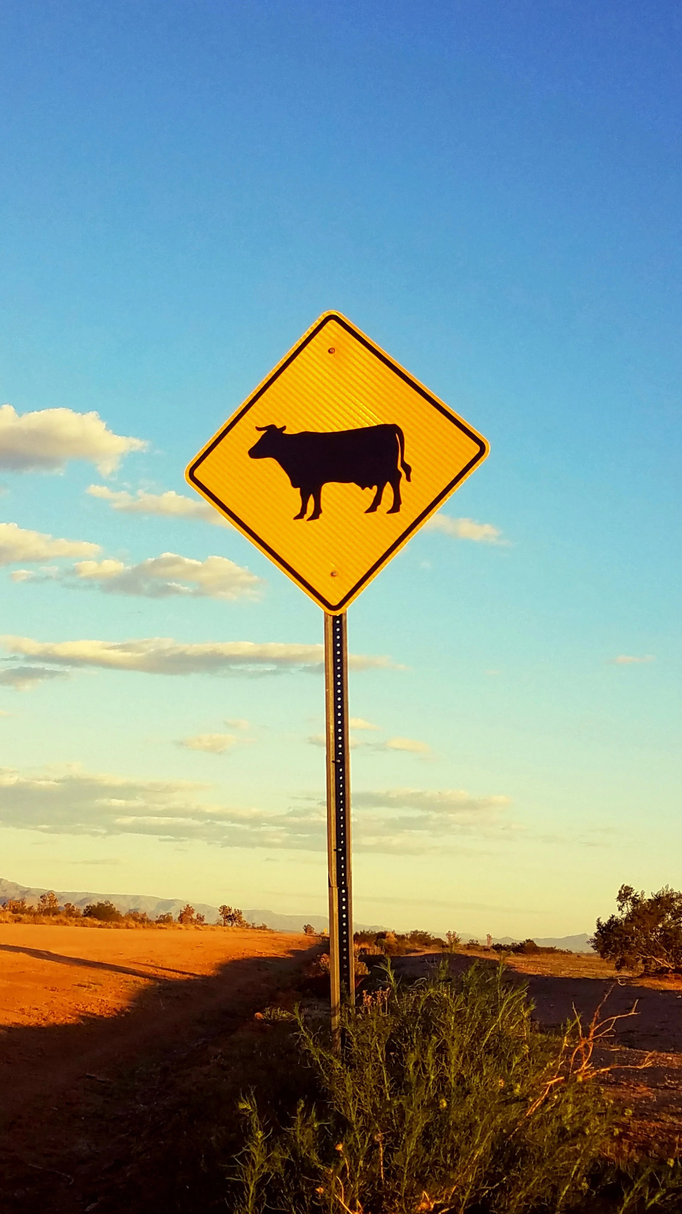 The World Around Me - Geoff Rhodes  (24).jpg