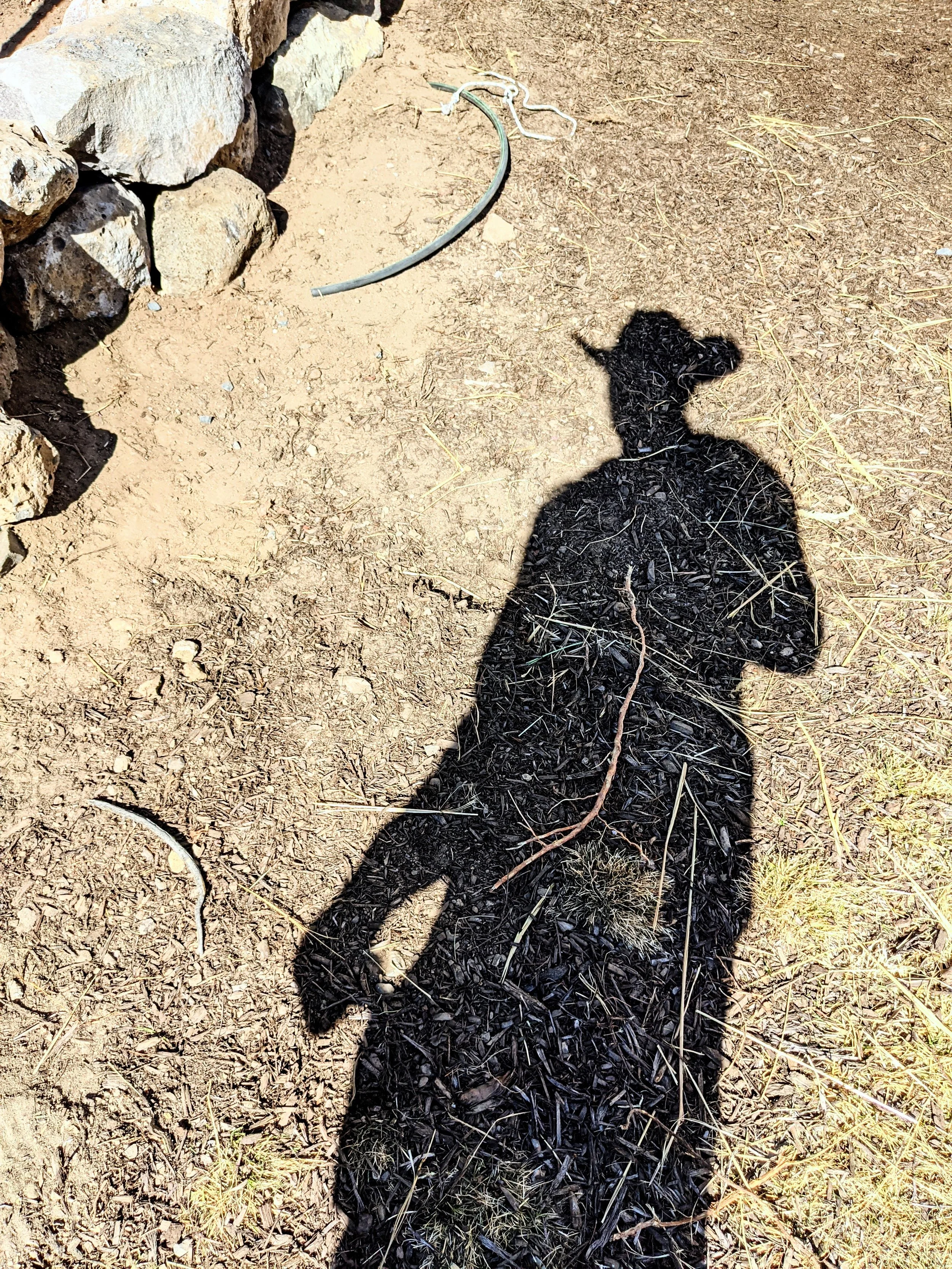 Shadow Games - Geoff Rhodes (56).jpg