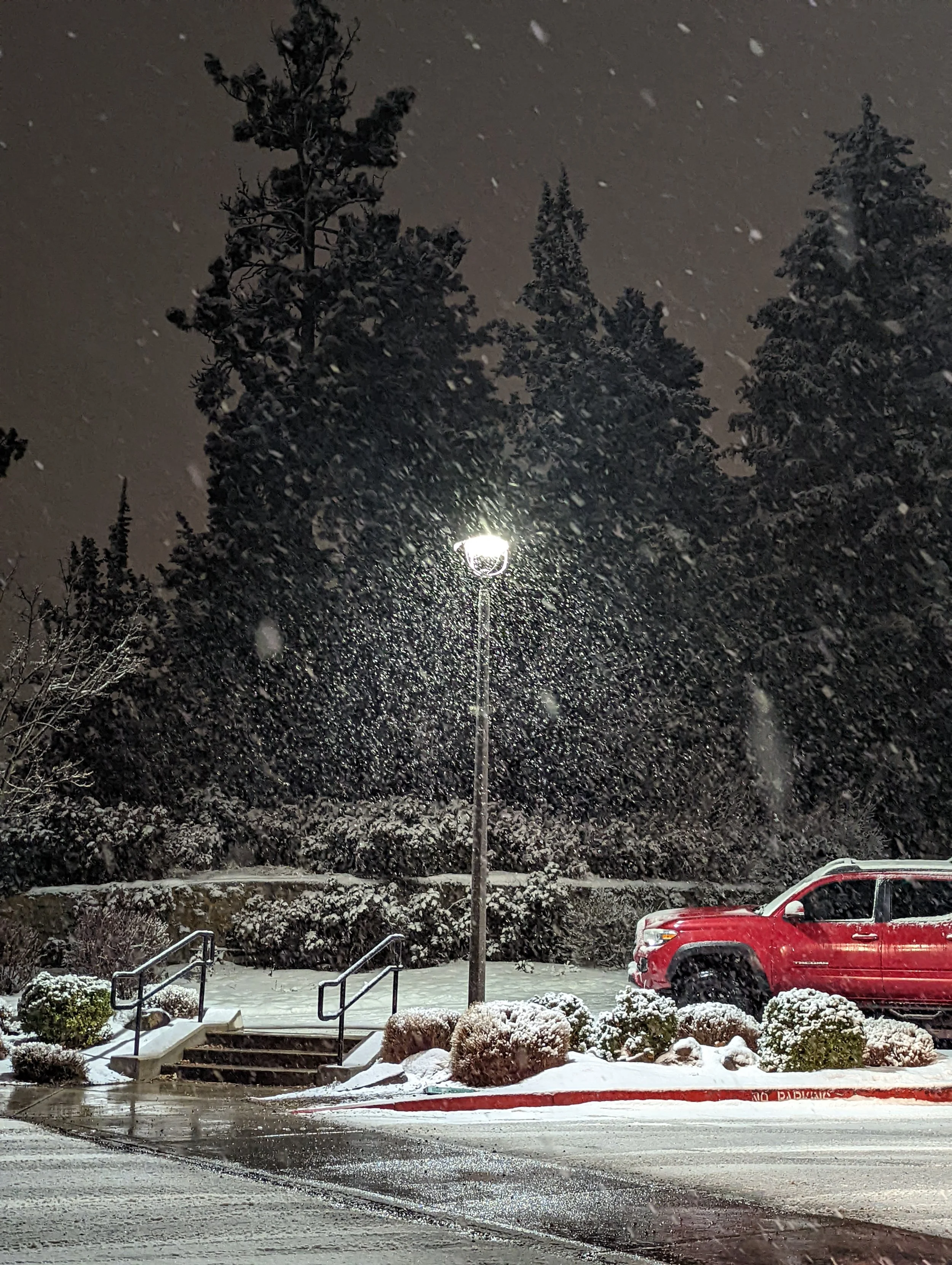 The World Around Me - Geoff Rhodes  (39).jpg