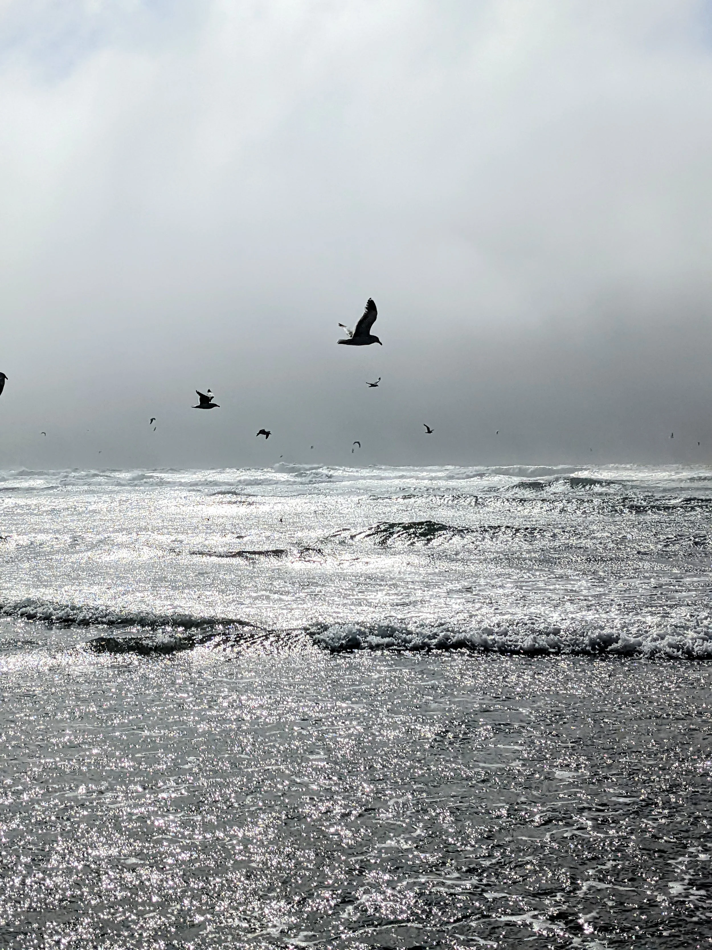 Composition - Geoff Rhodes (61).jpg