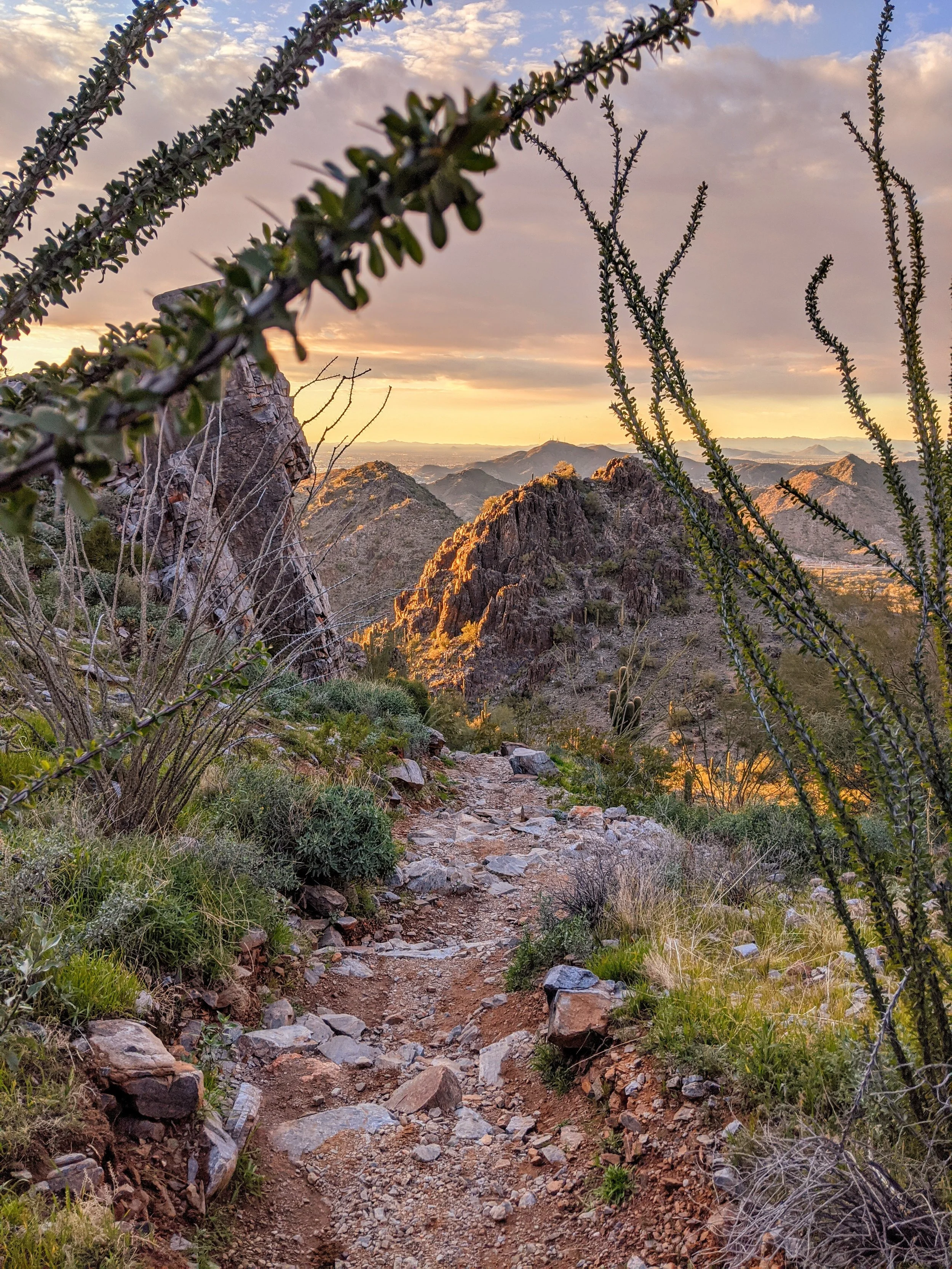 Path to Enlightenment - Geoff Rhodes (13).jpg