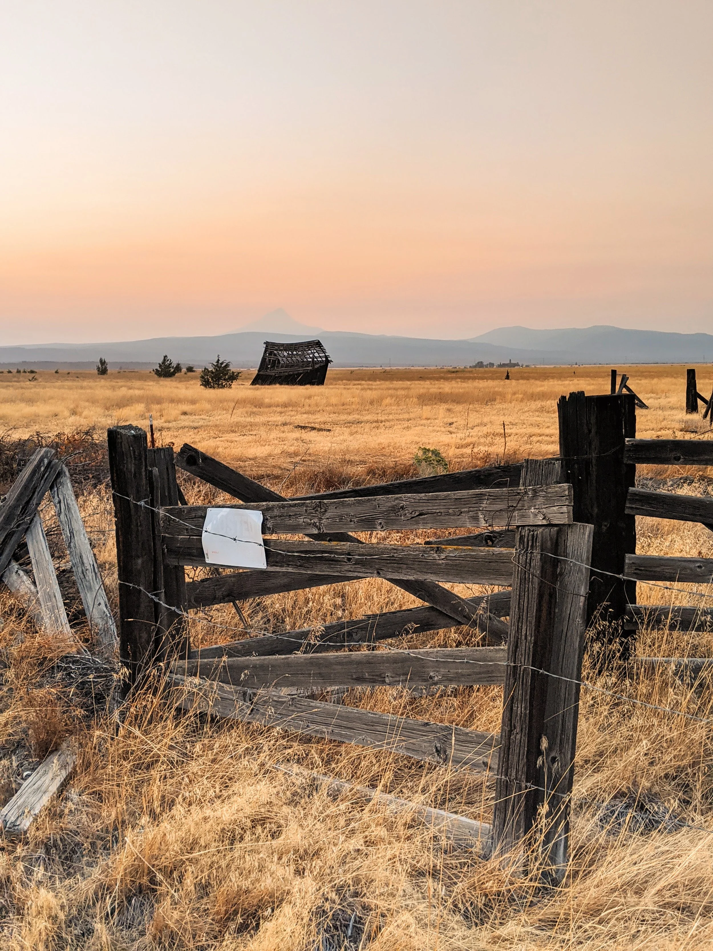 Fence Post Porn - Geoff Rhodes (24).jpg