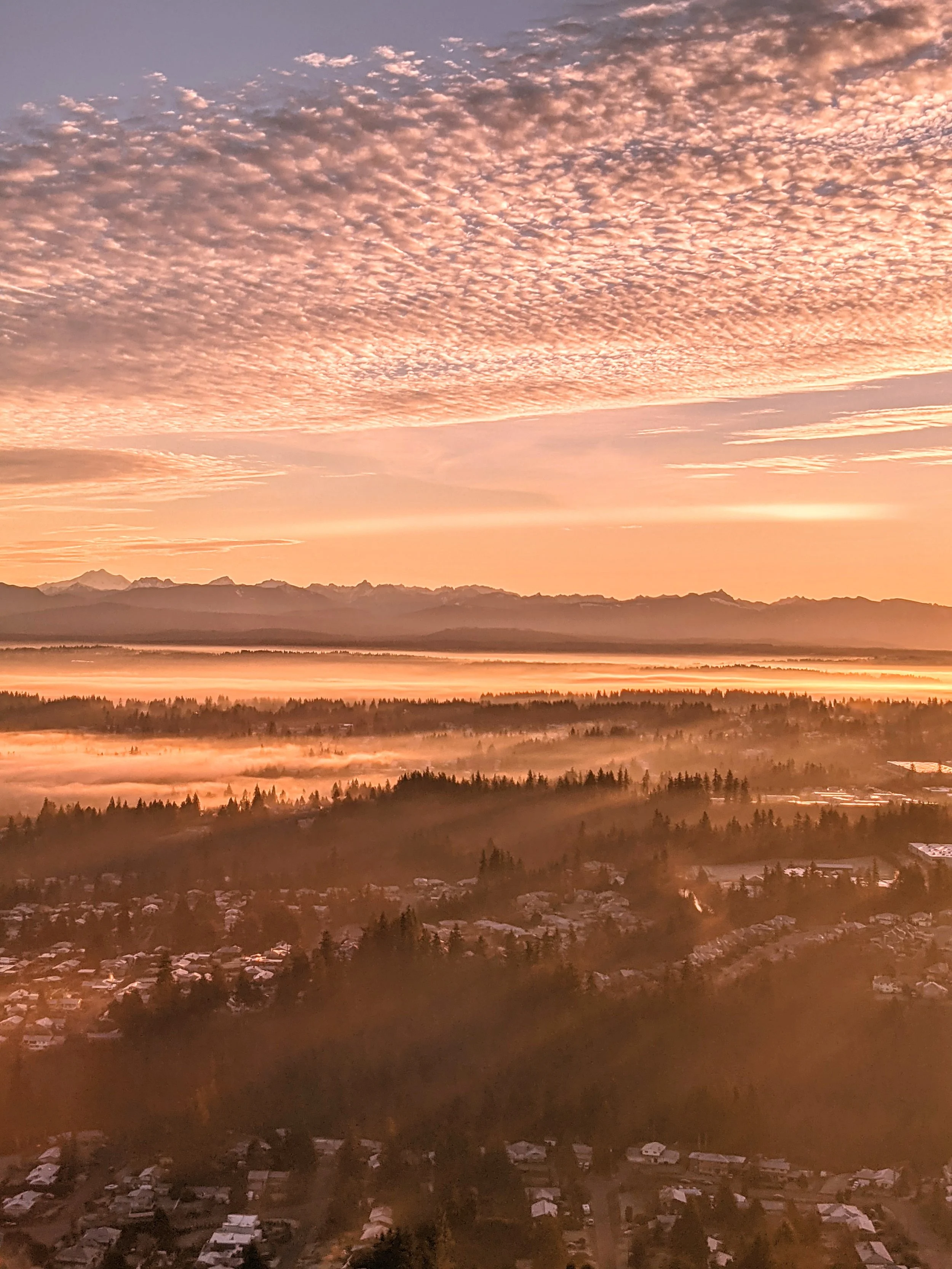 This is Your Captain Speaking - Geoff Rhodes (9).jpg