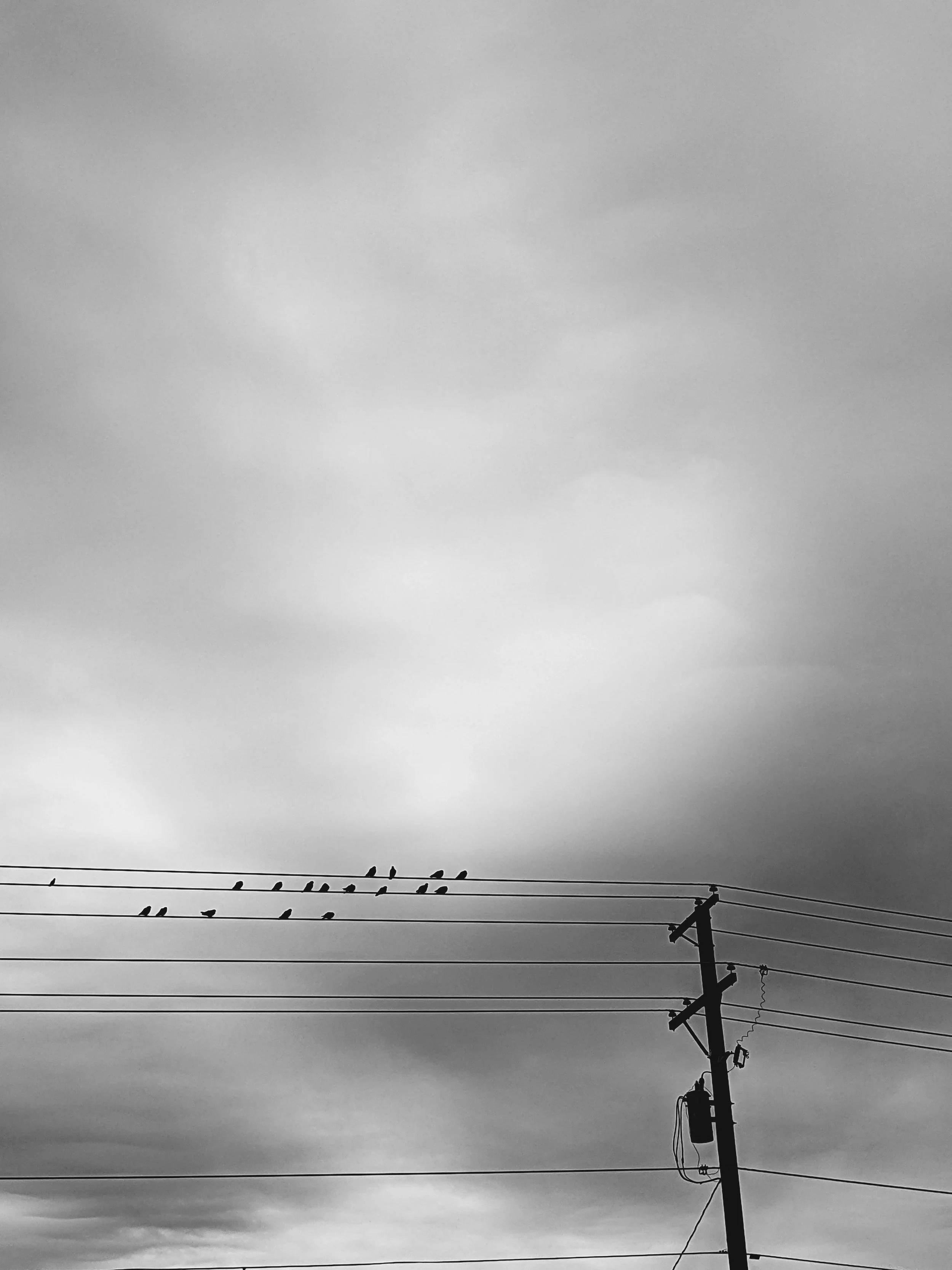 Composition - Geoff Rhodes (48).jpg