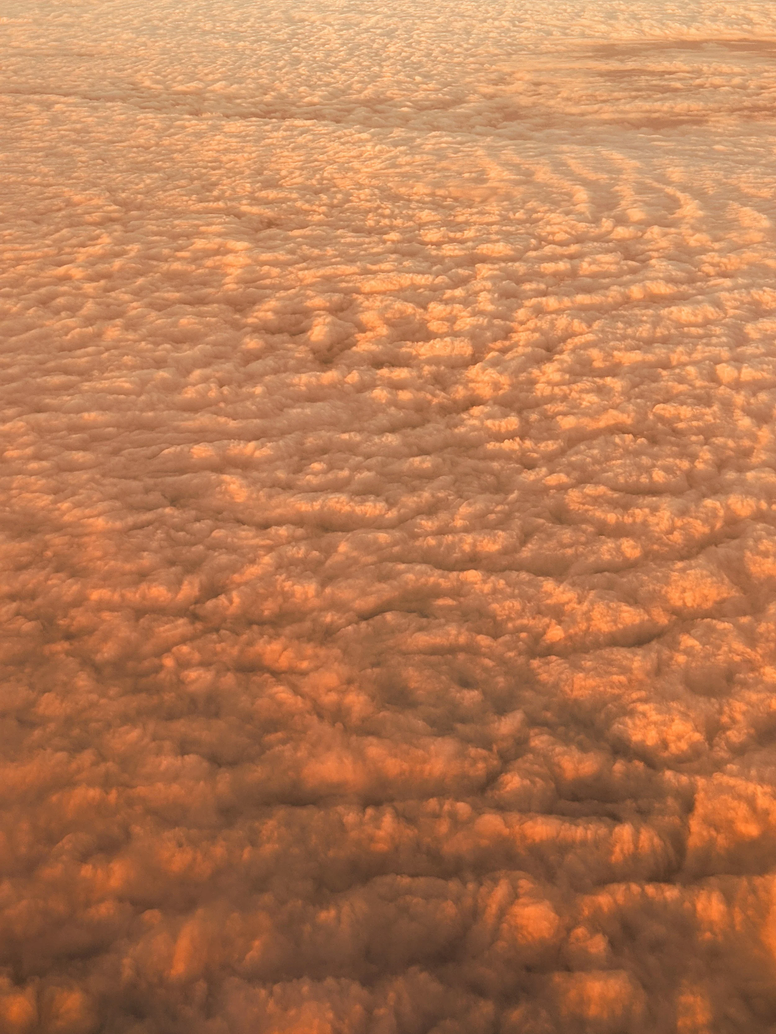 This is Your Captain Speaking - Geoff Rhodes (13).jpg