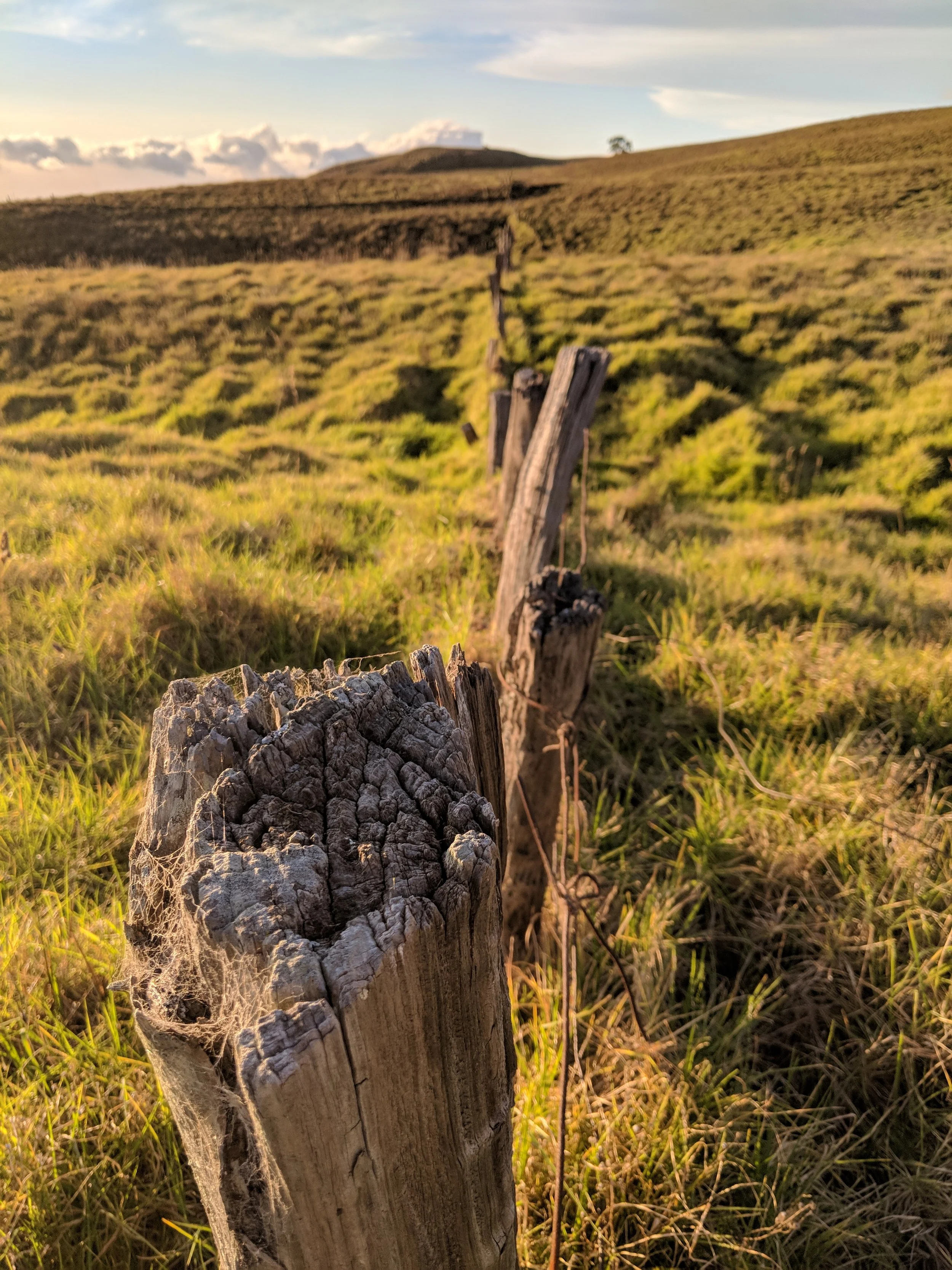Fence Post Porn - Geoff Rhodes (12).jpg
