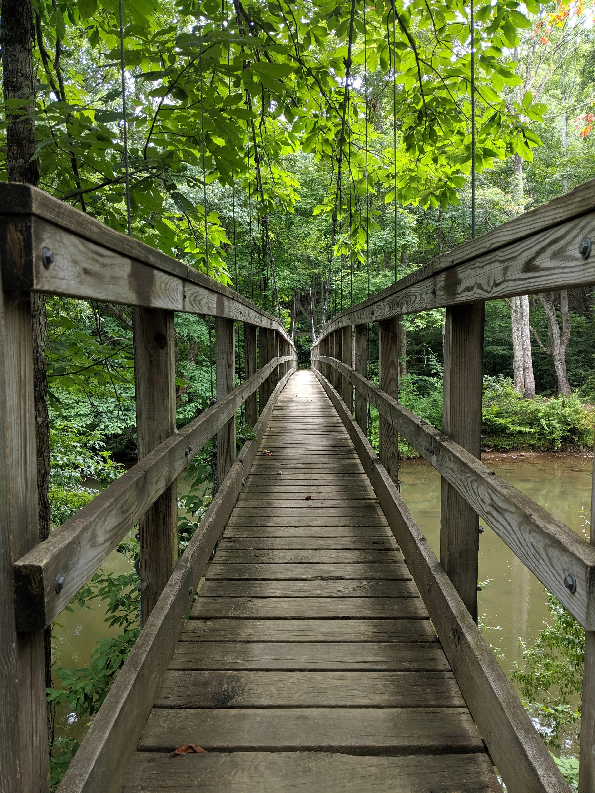 Path to Enlightenment - Geoff Rhodes 2 (1).jpg