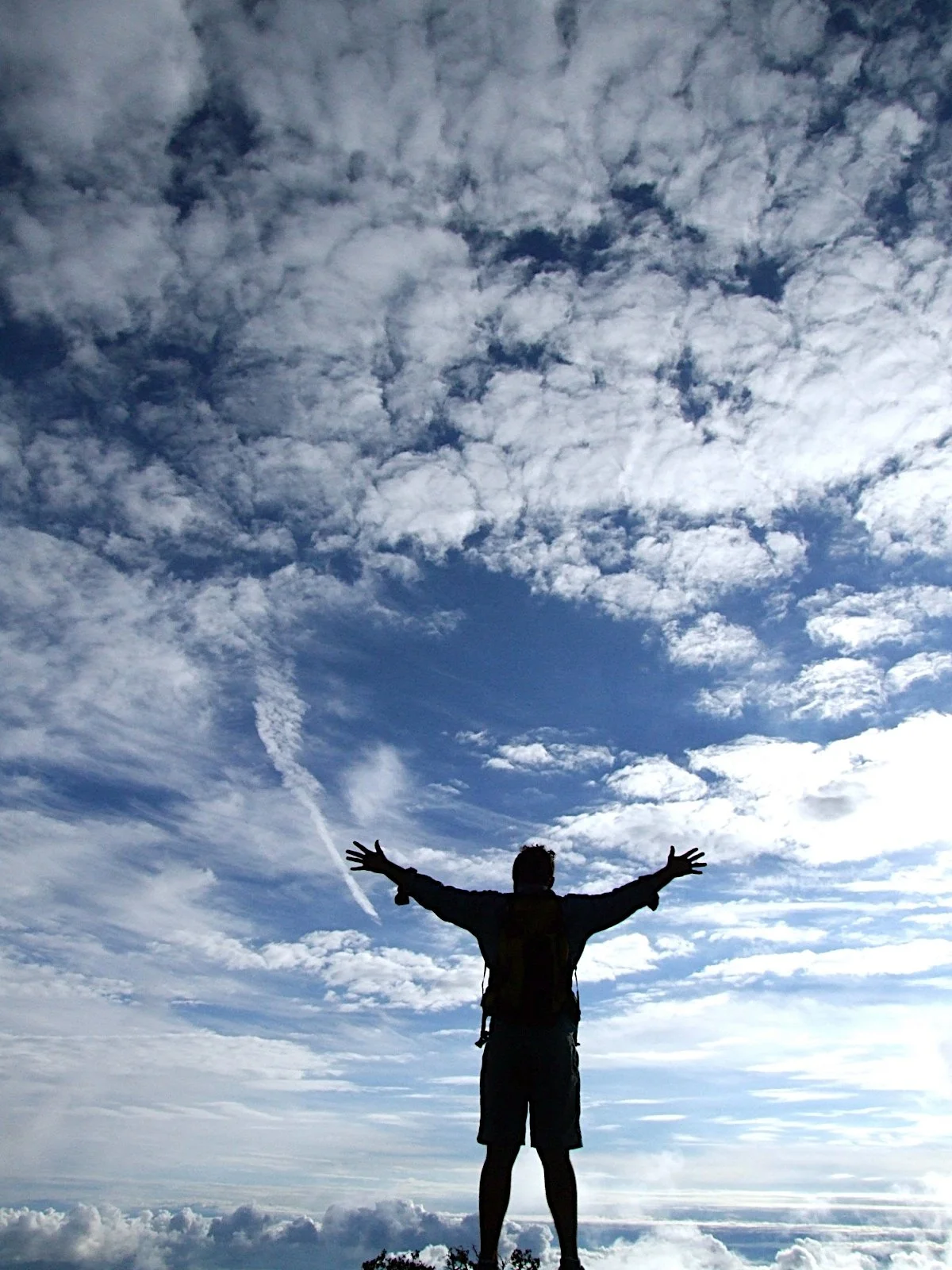 I Love your Silhouette - Geoff Rhodes (47).JPG