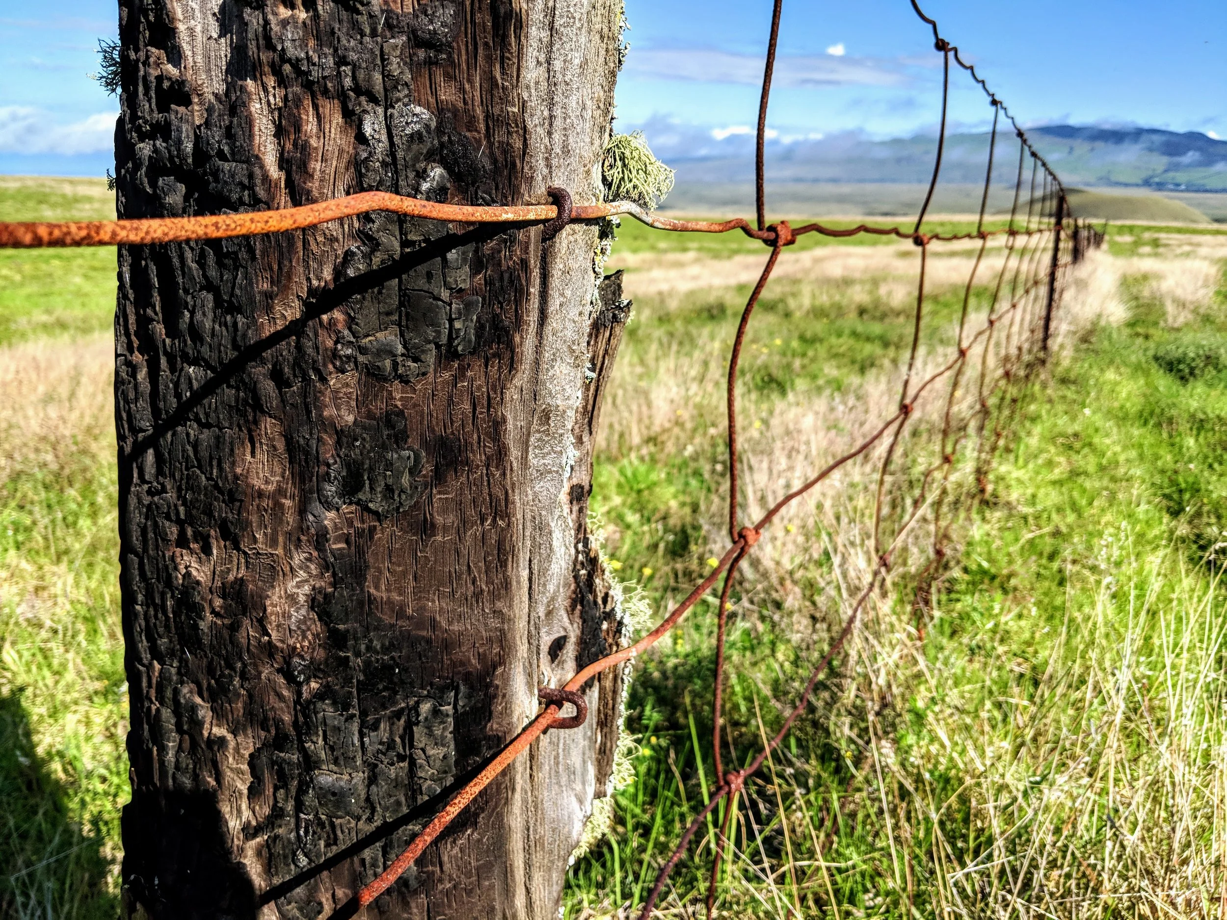 Fence Post Porn - Geoff Rhodes (11).jpg