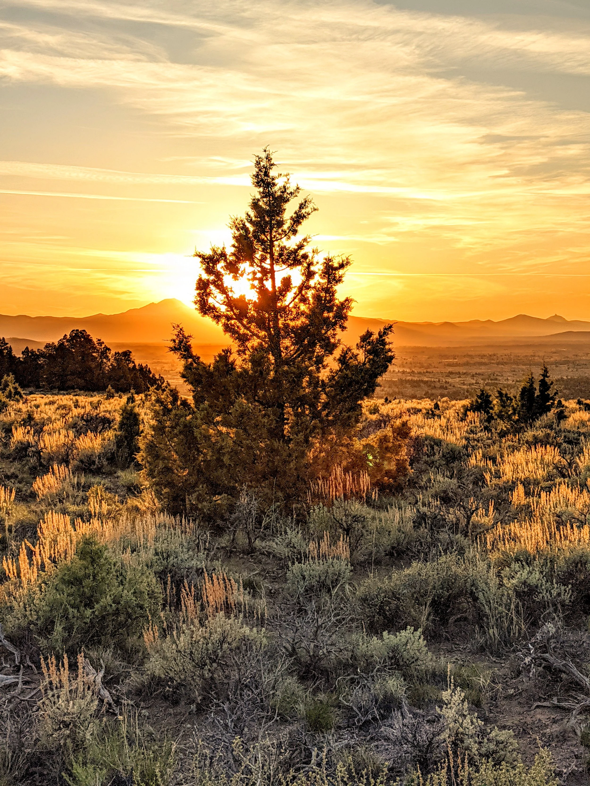 Killer Sunsets - Geoff Rhodes (123).jpg