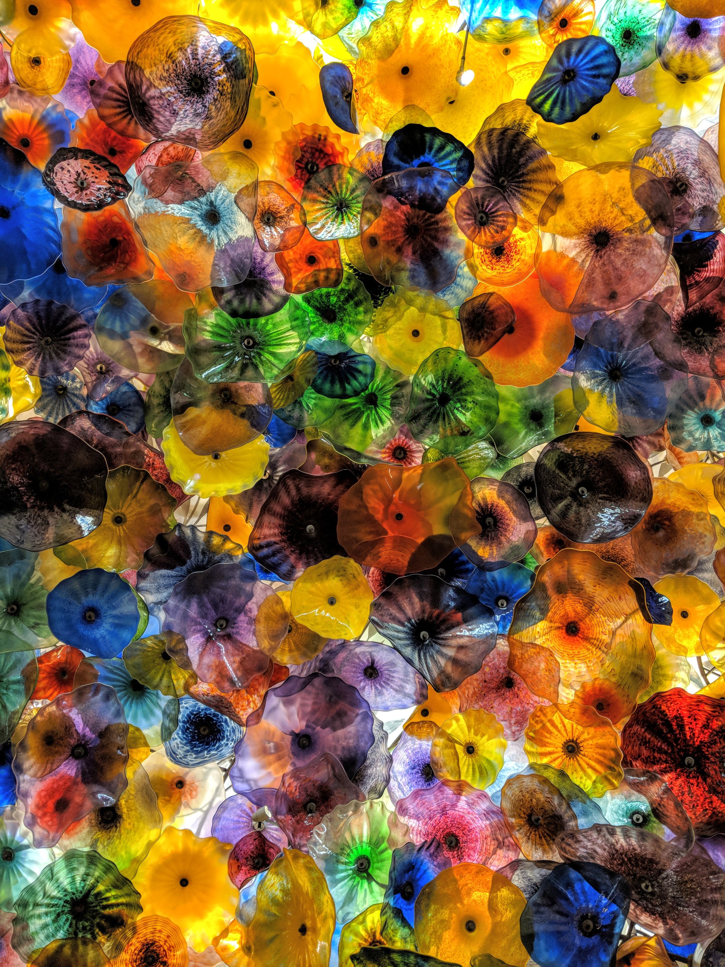 The World Around Me - Geoff Rhodes  (7).jpg