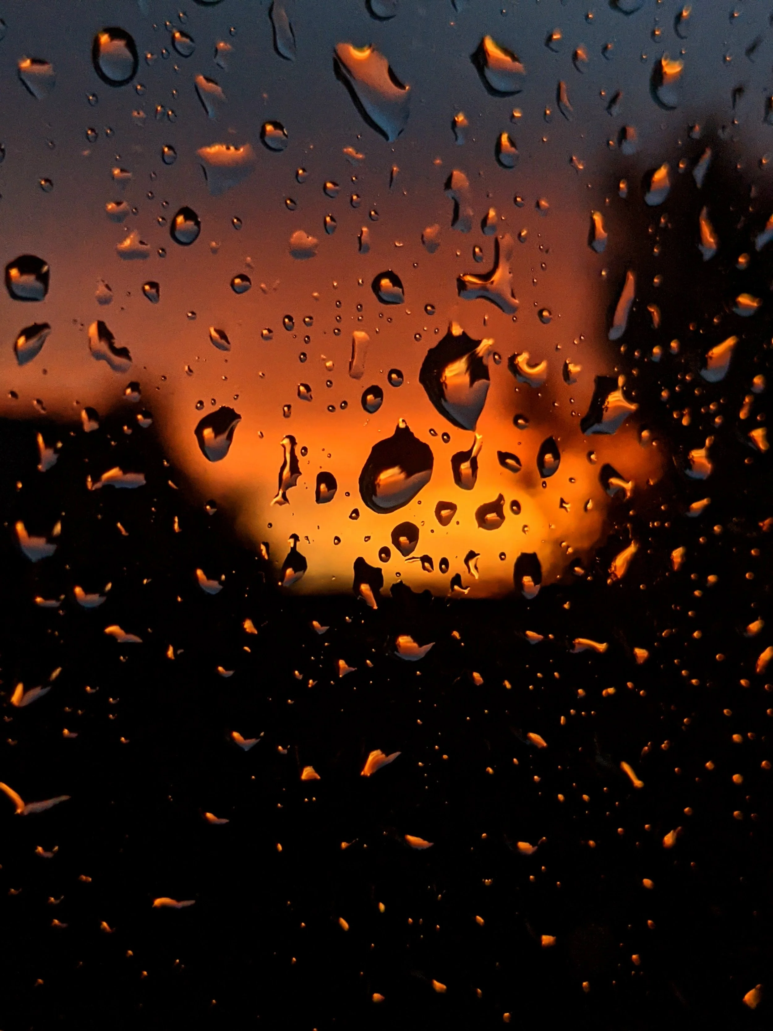 The World Around Me - Geoff Rhodes  (22).jpg