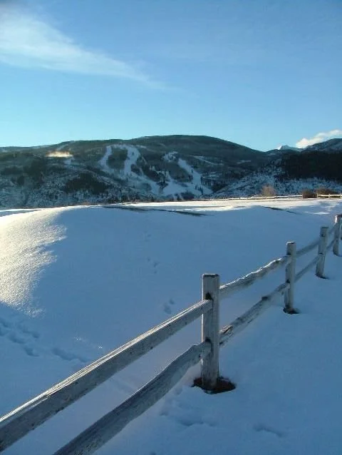 Fence Post Porn - Geoff Rhodes (5).JPG