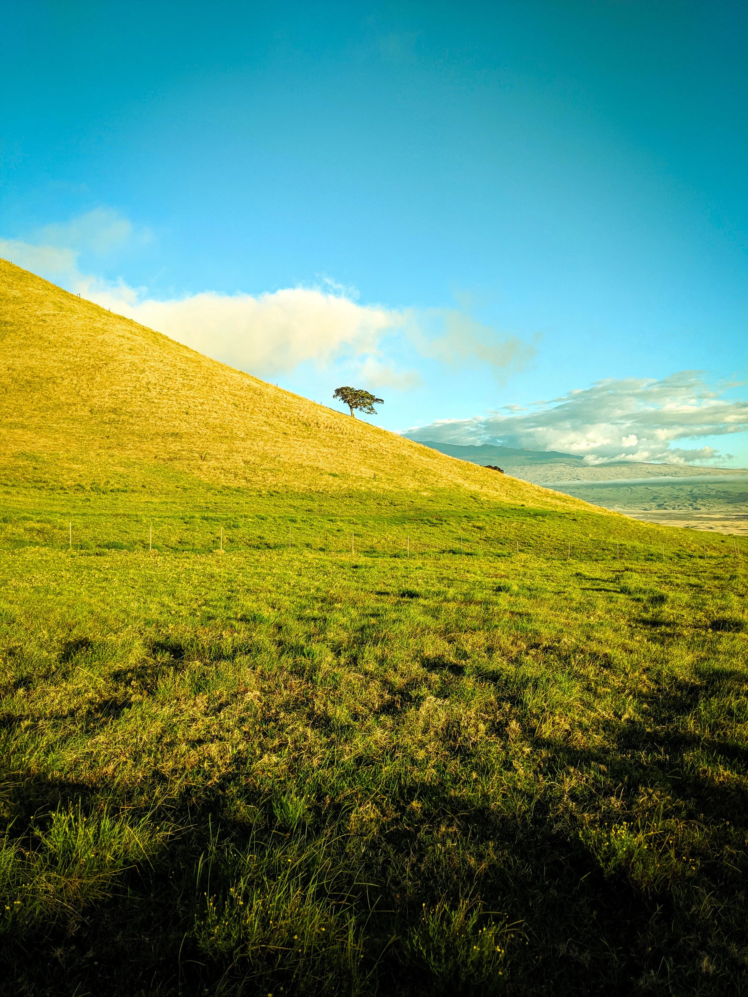 Hawaii - Geoff Rhodes - Ridgeline Creative (14).jpg