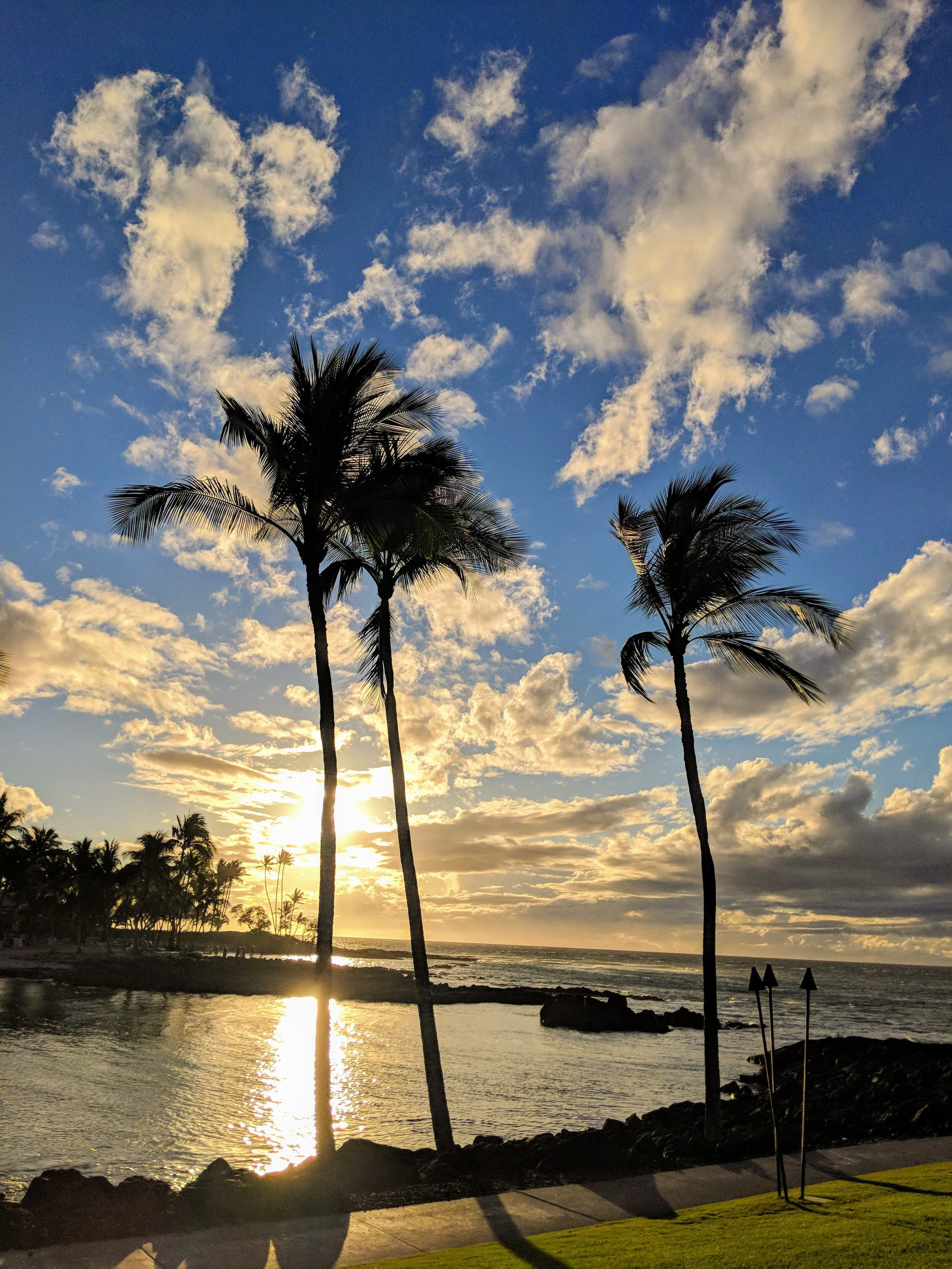 I Love your Silhouette - Geoff Rhodes (34).jpg