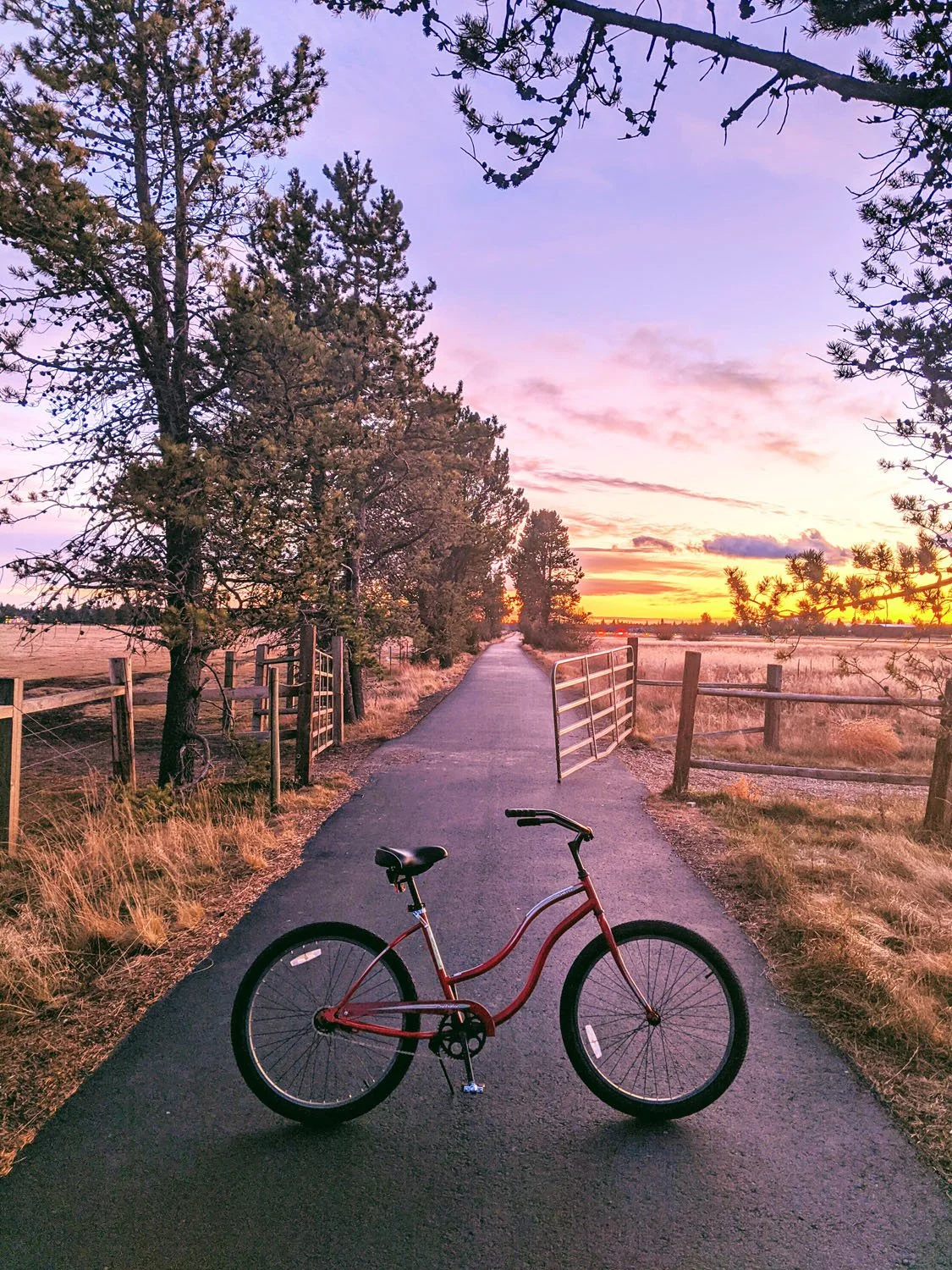 Adventure - Geoff Rhodes (27).jpg