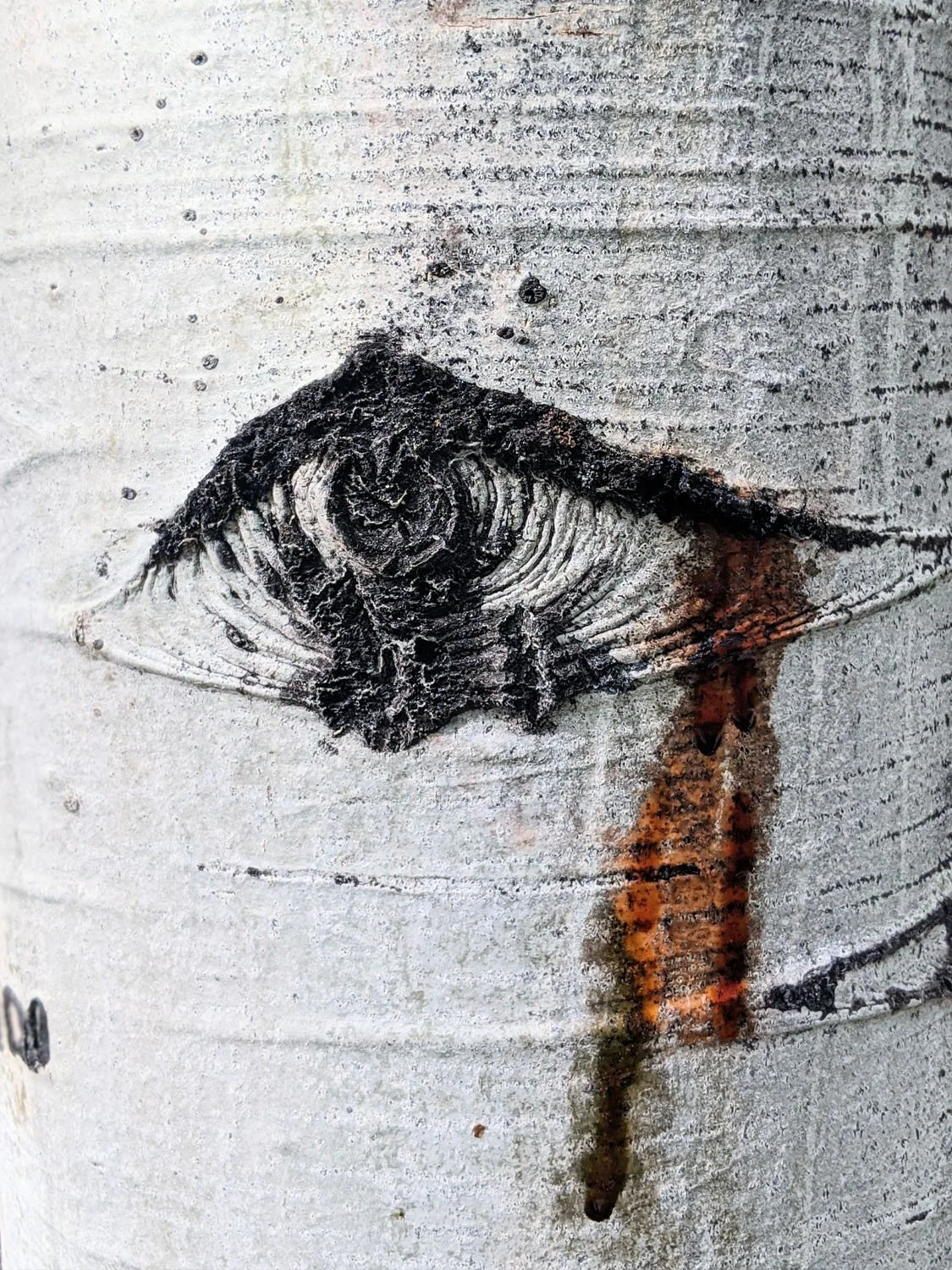 Composition - Geoff Rhodes (38).jpg