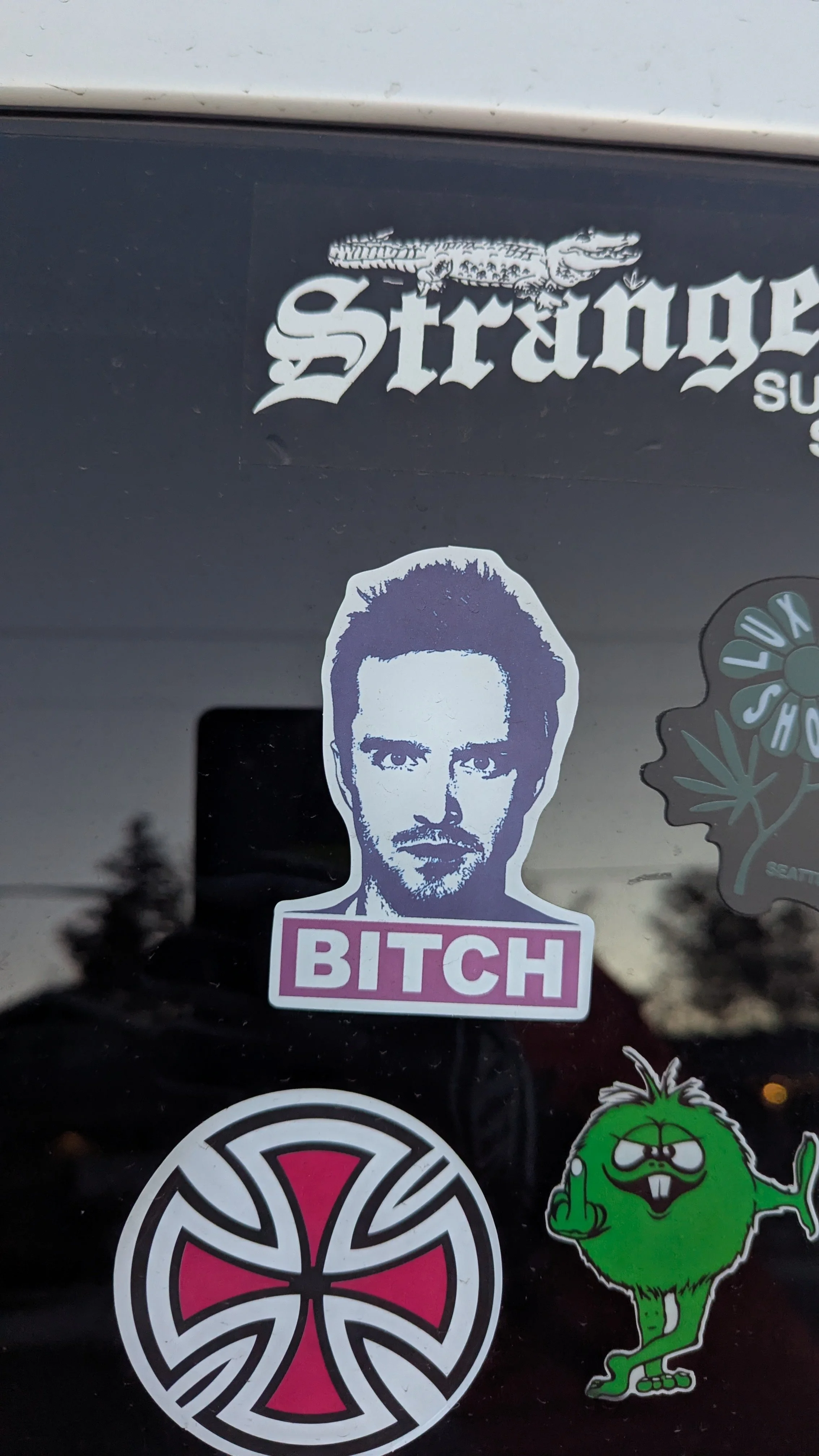 Just for Fun - Bitch.jpg