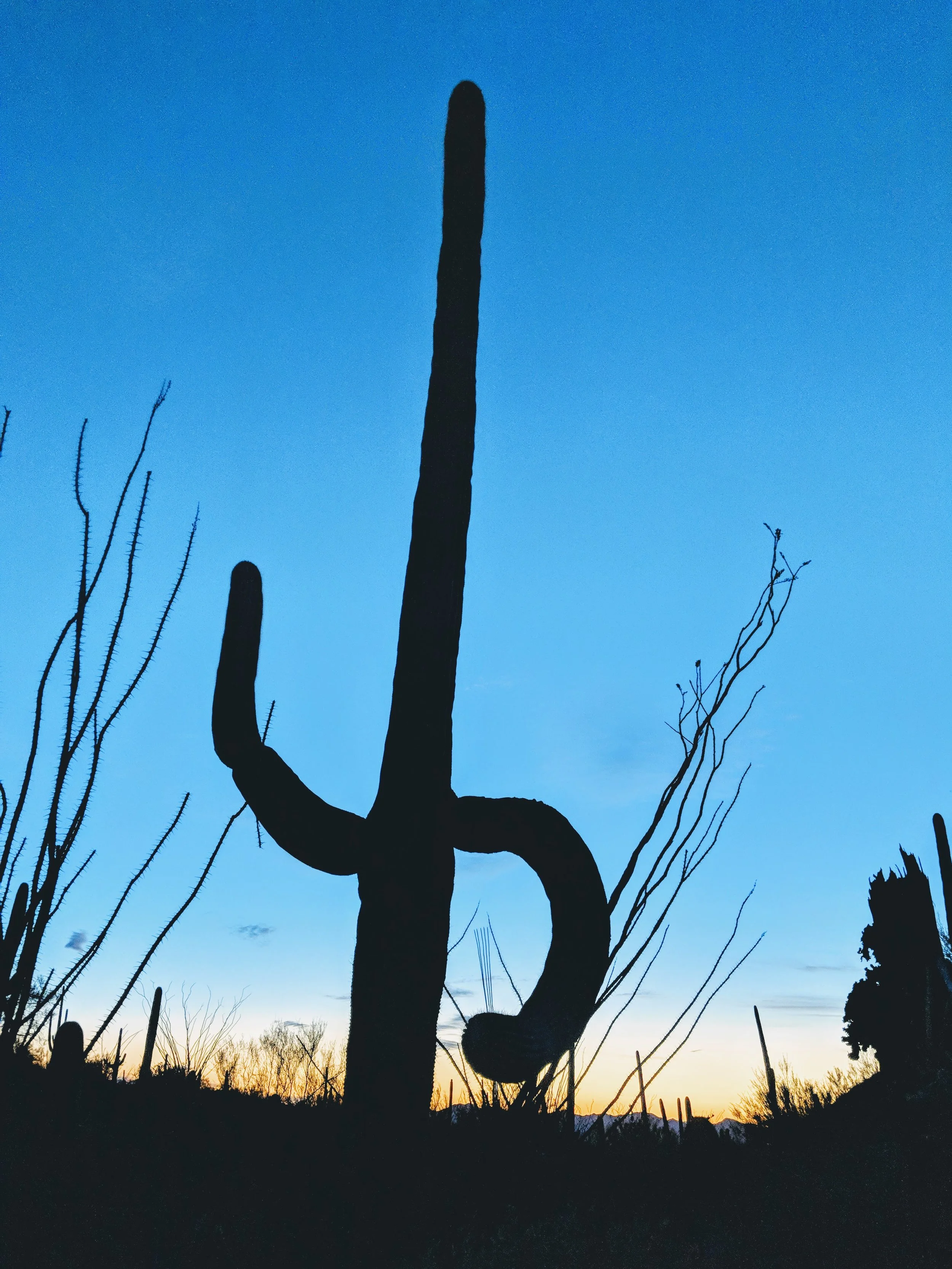 I Love your Silhouette - Geoff Rhodes (37).jpg