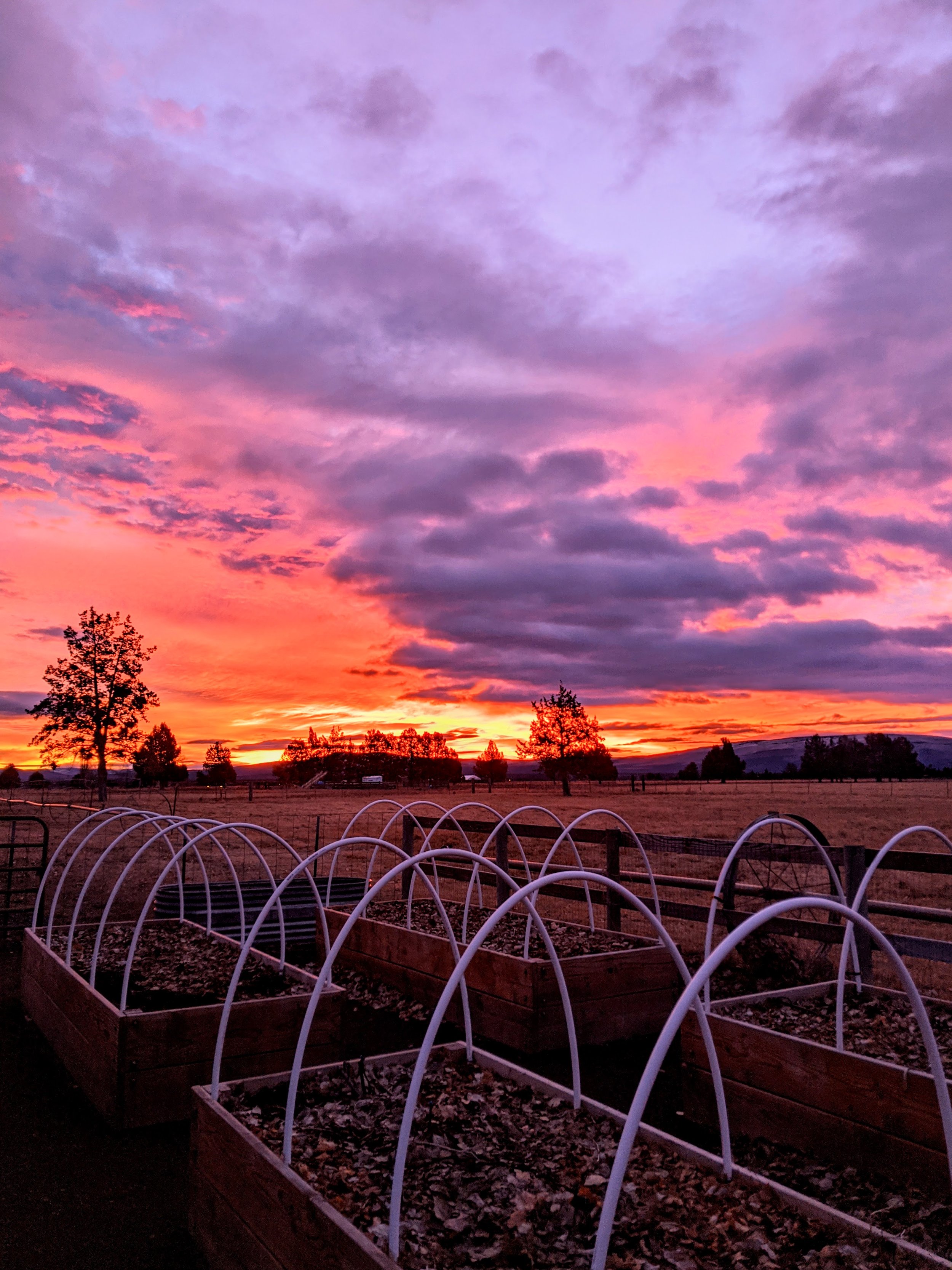 Killer Sunsets - Geoff Rhodes (93).jpg