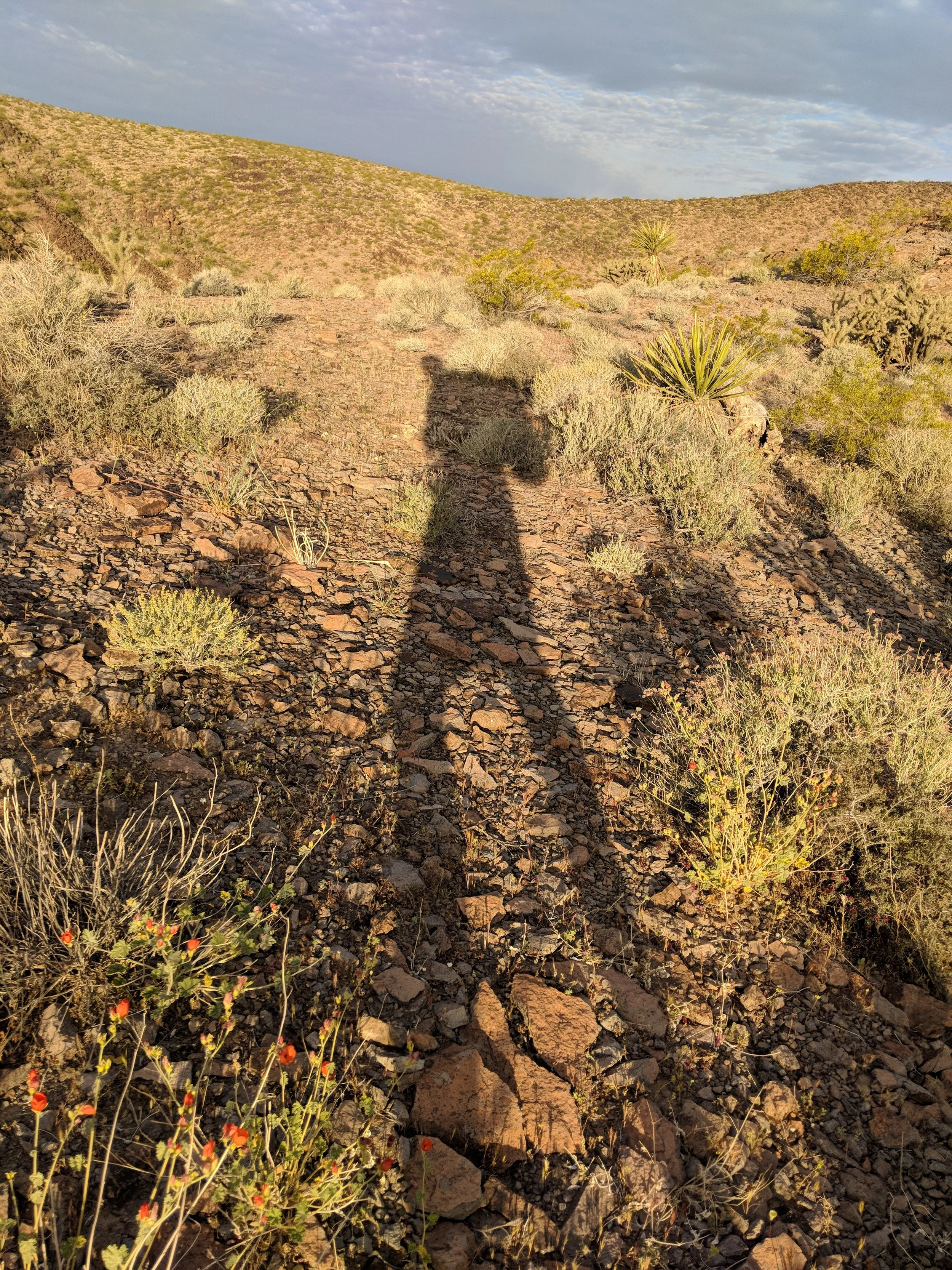 Desert Solitude - Exploration - Geoff Rhodes (27).jpg