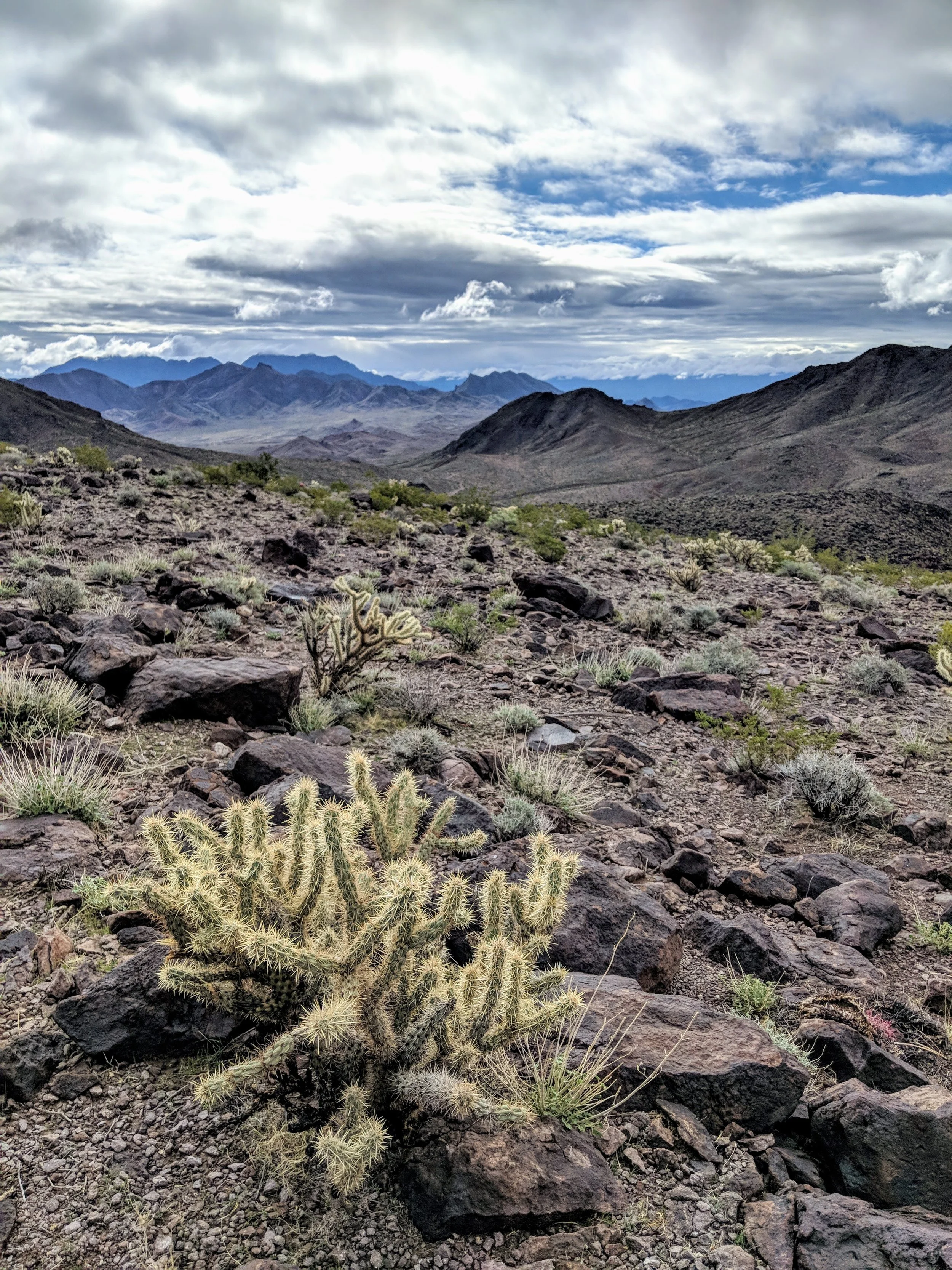 Desert Solitude - landscape - Geoff Rhodes (6).jpg