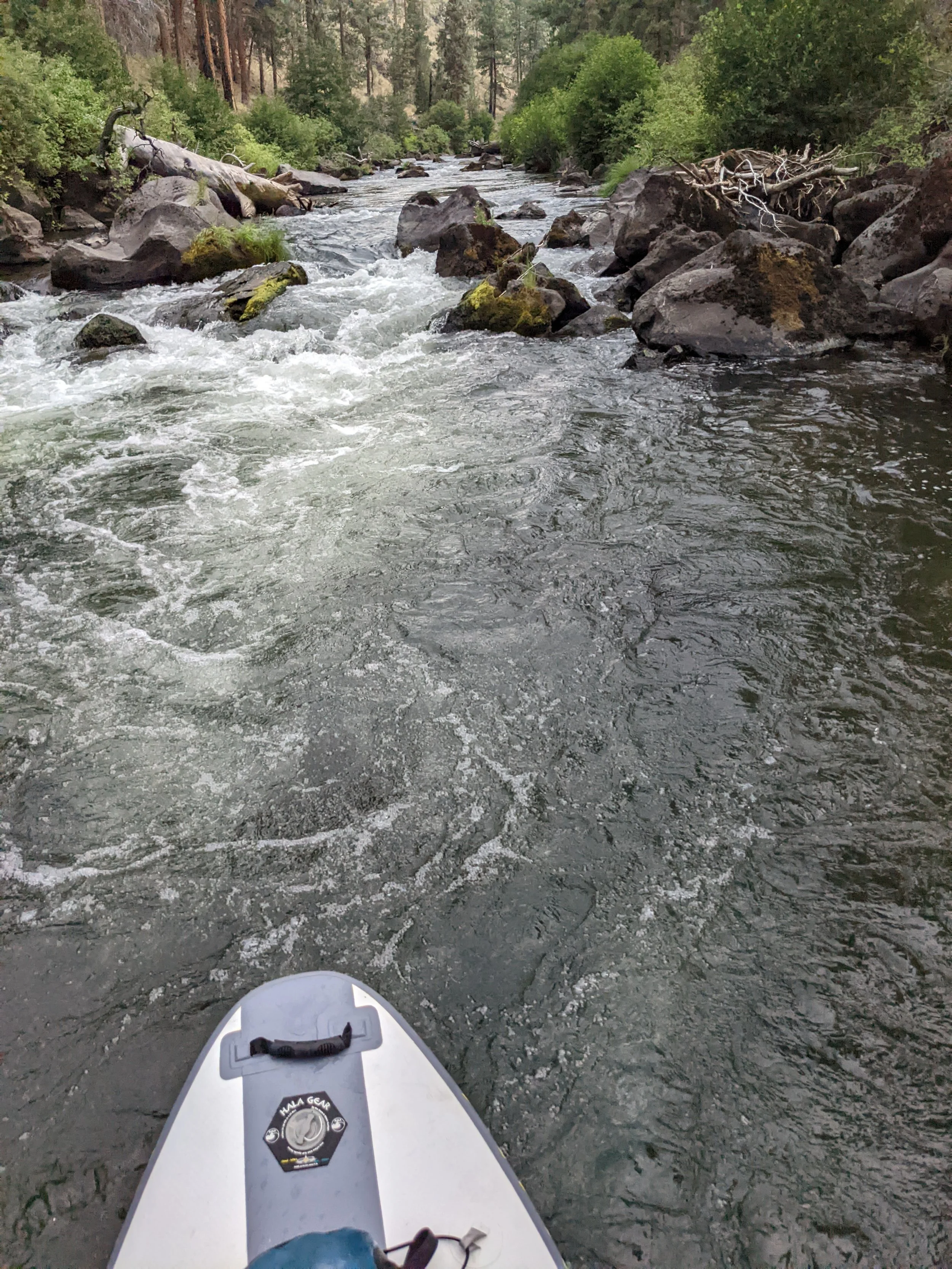 Just the Tip - SUP - Hala (2).jpg