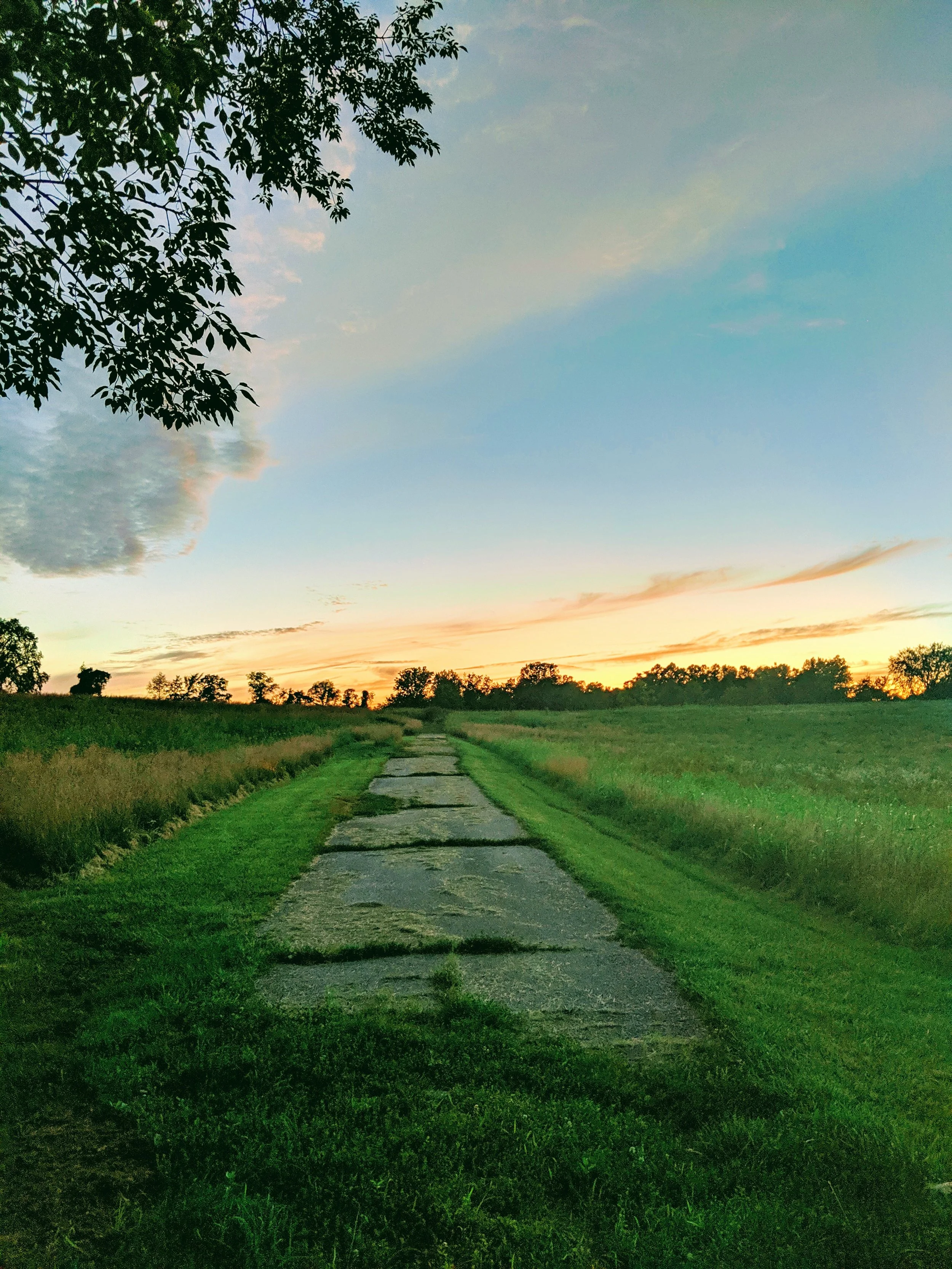 Life on the Road - Geoff Rhodes (4).jpg