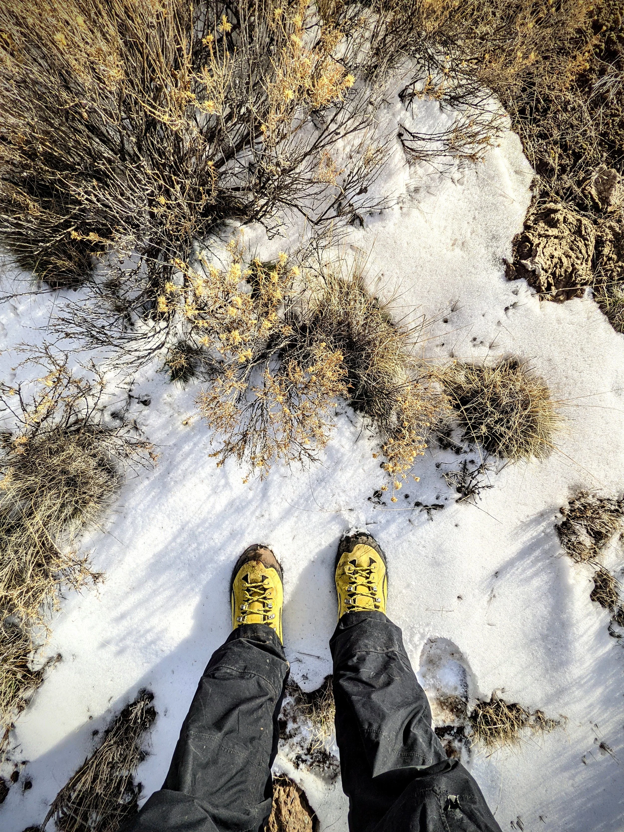 Tale of Two Soles - Geoff Rhodes (43).jpg