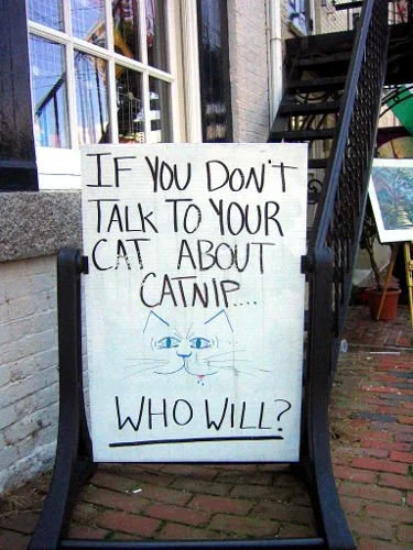 Just for Fun - Geoff Rhodes (6).jpg