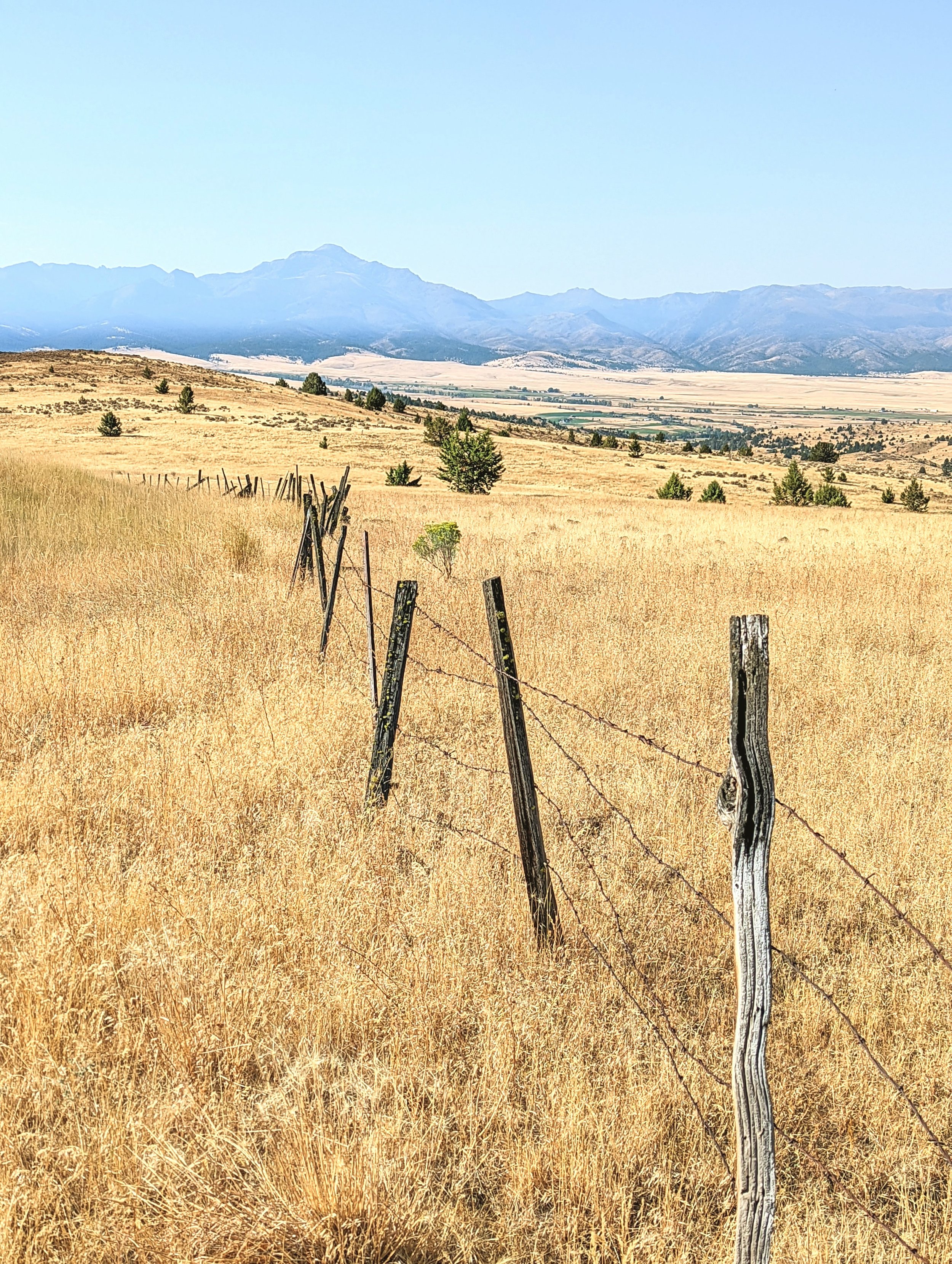 Fence Post Porn - Geoff Rhodes (38).jpg