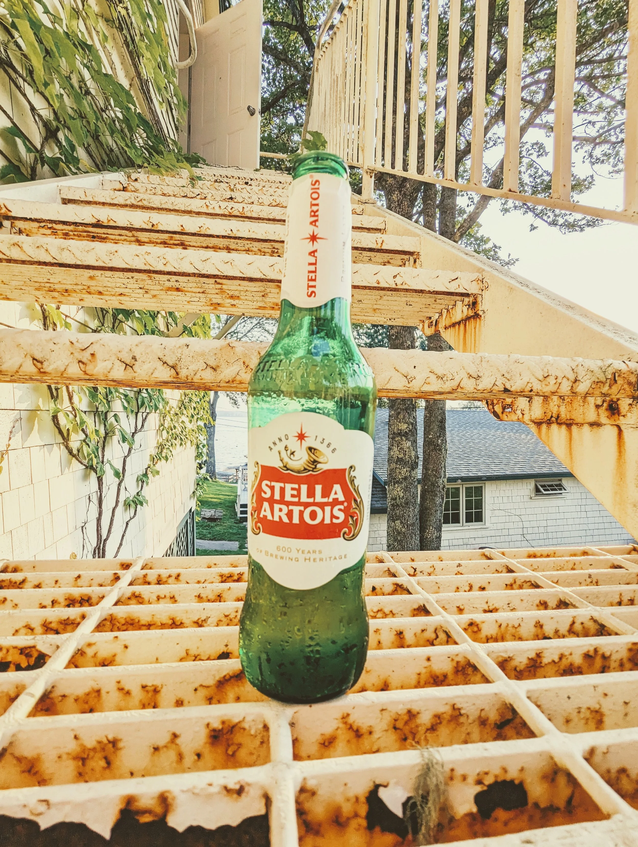 Bottoms Up - Geoff Rhodes (5).jpg