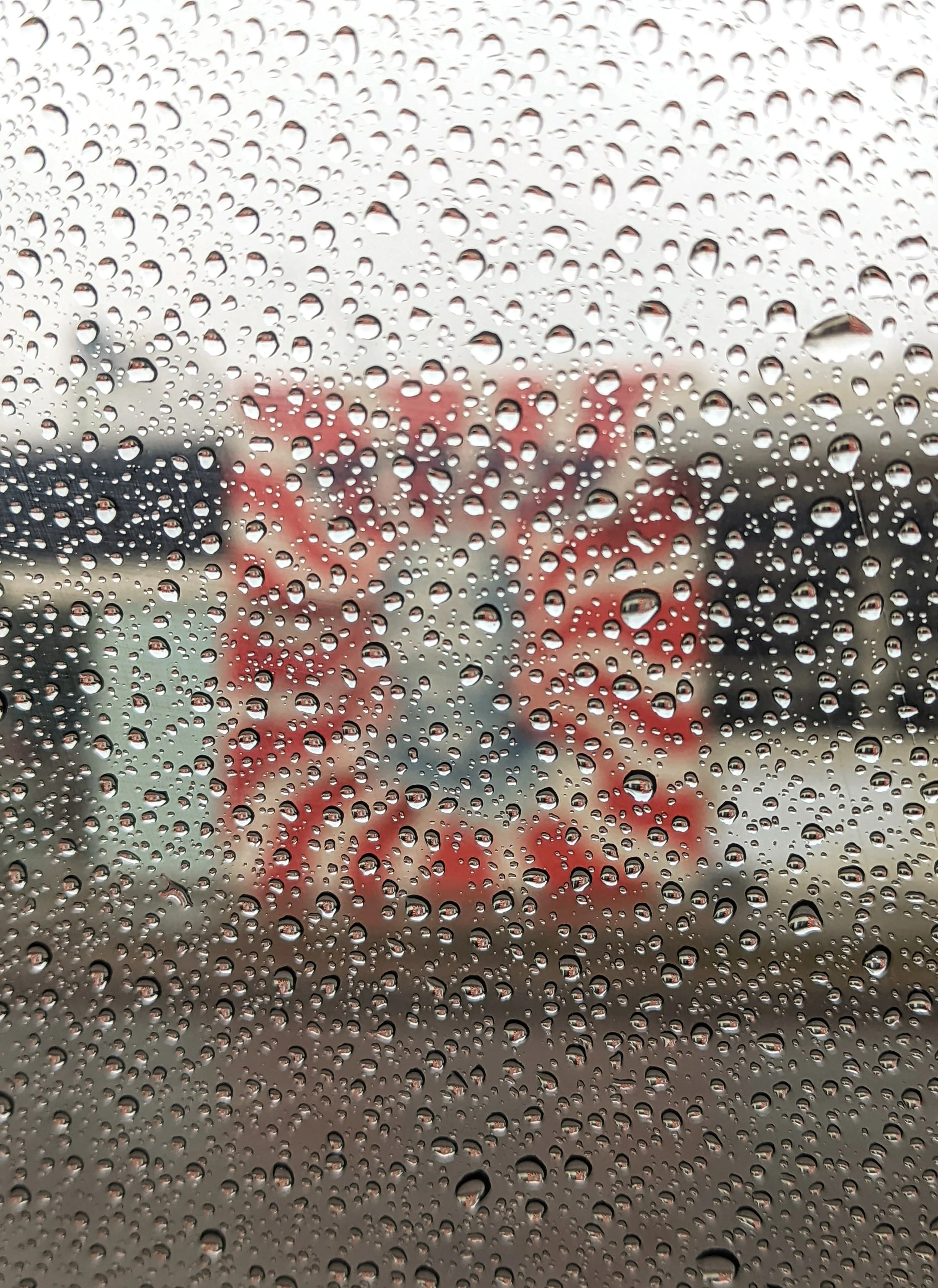 The World Around Me - Geoff Rhodes  (52).jpg