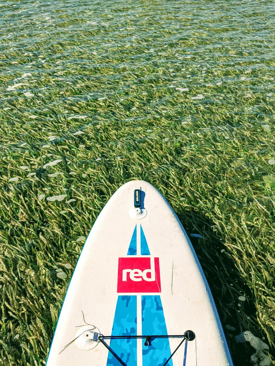 Just the Tip - SUP - Red (3).jpg