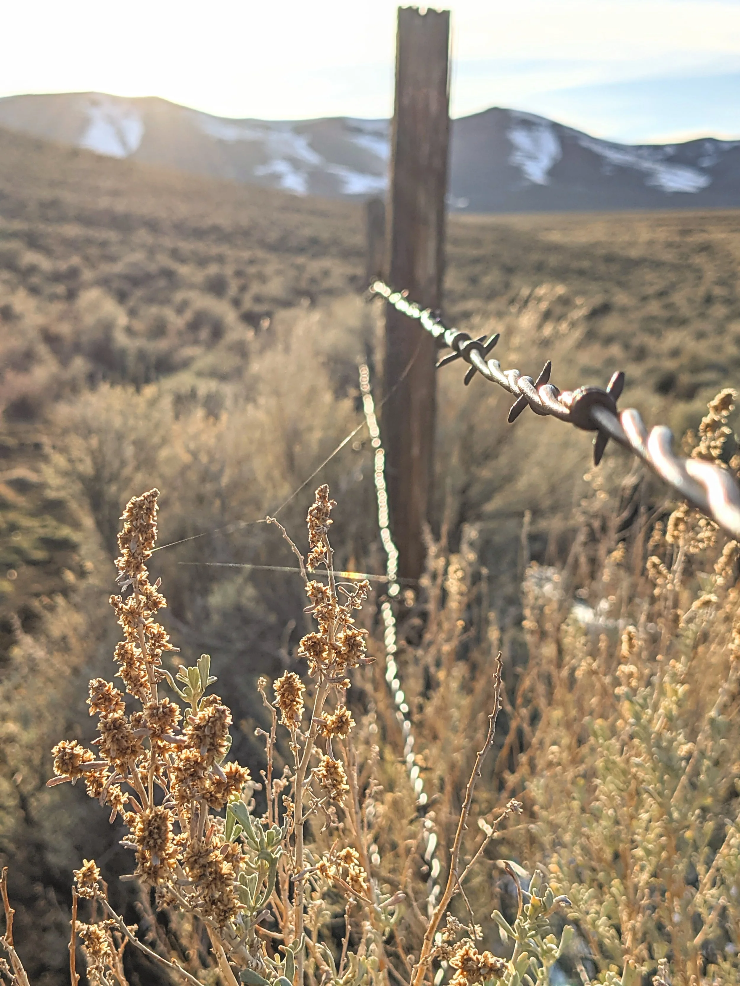 Desert Solitude - Exploration - Geoff Rhodes (13).jpg