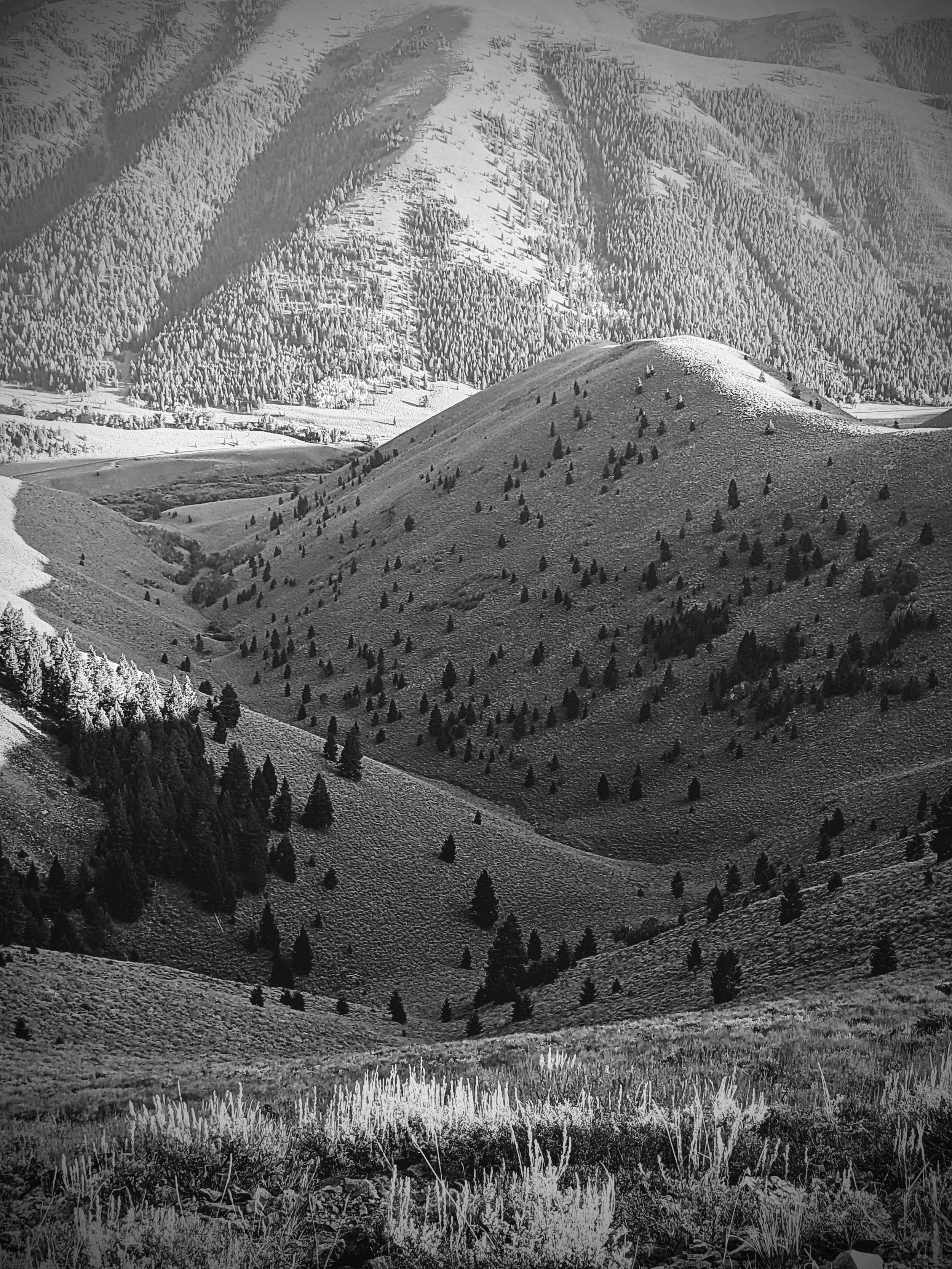 Desert Solitude - landscape - Geoff Rhodes (31).jpg