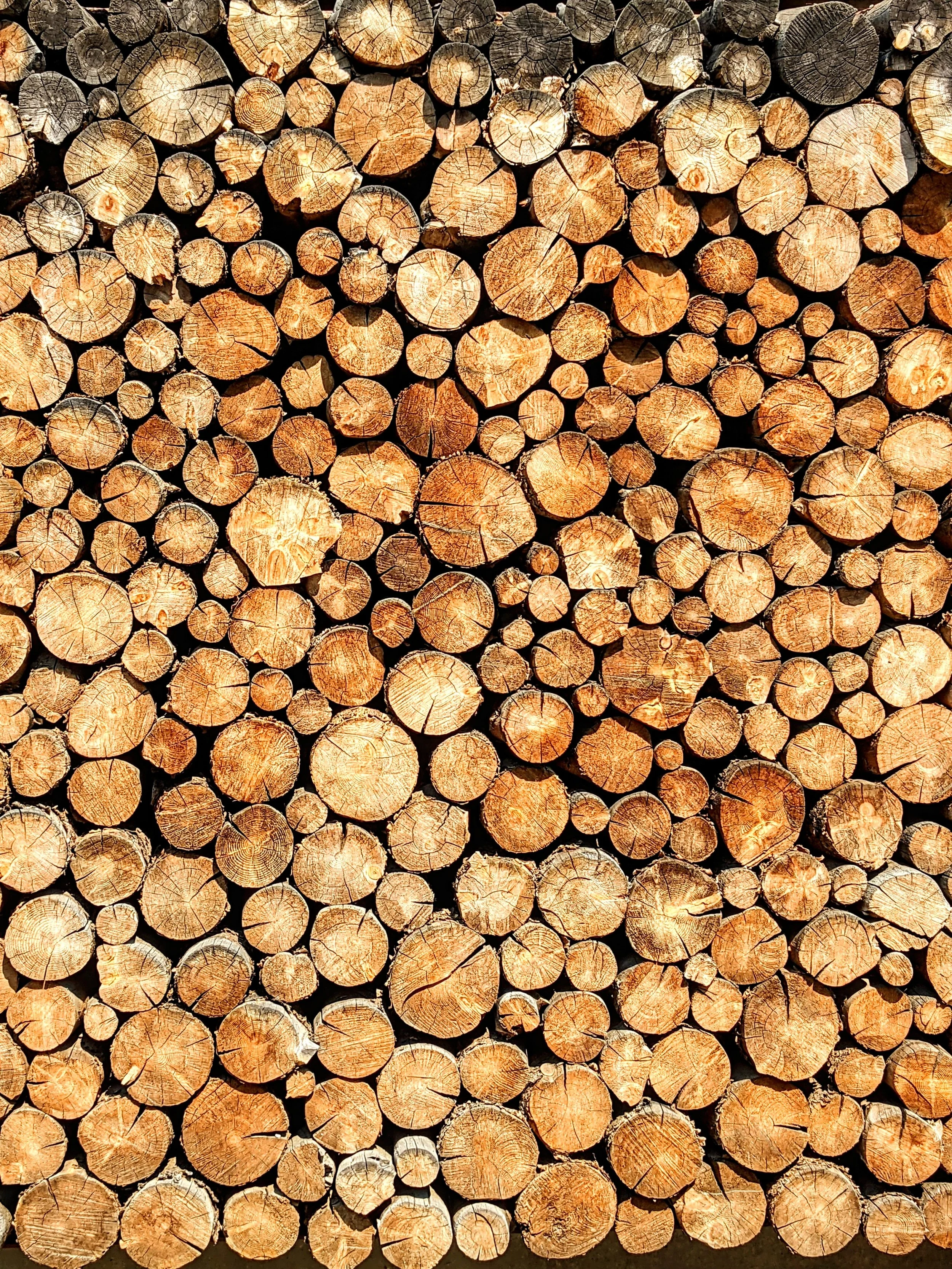 The World Around Me - Geoff Rhodes  (76).jpg