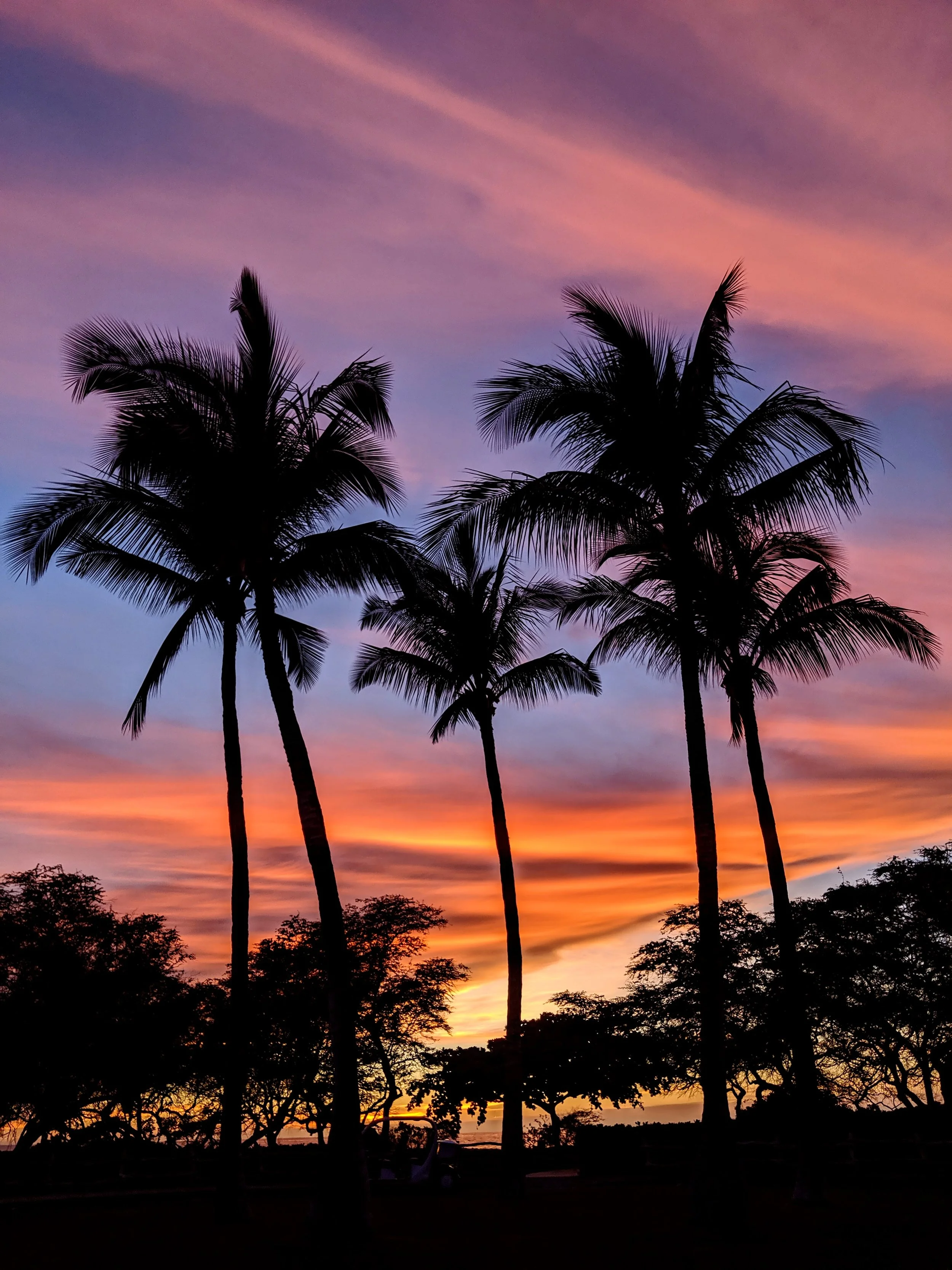 Killer Sunsets - Geoff Rhodes (110).jpg