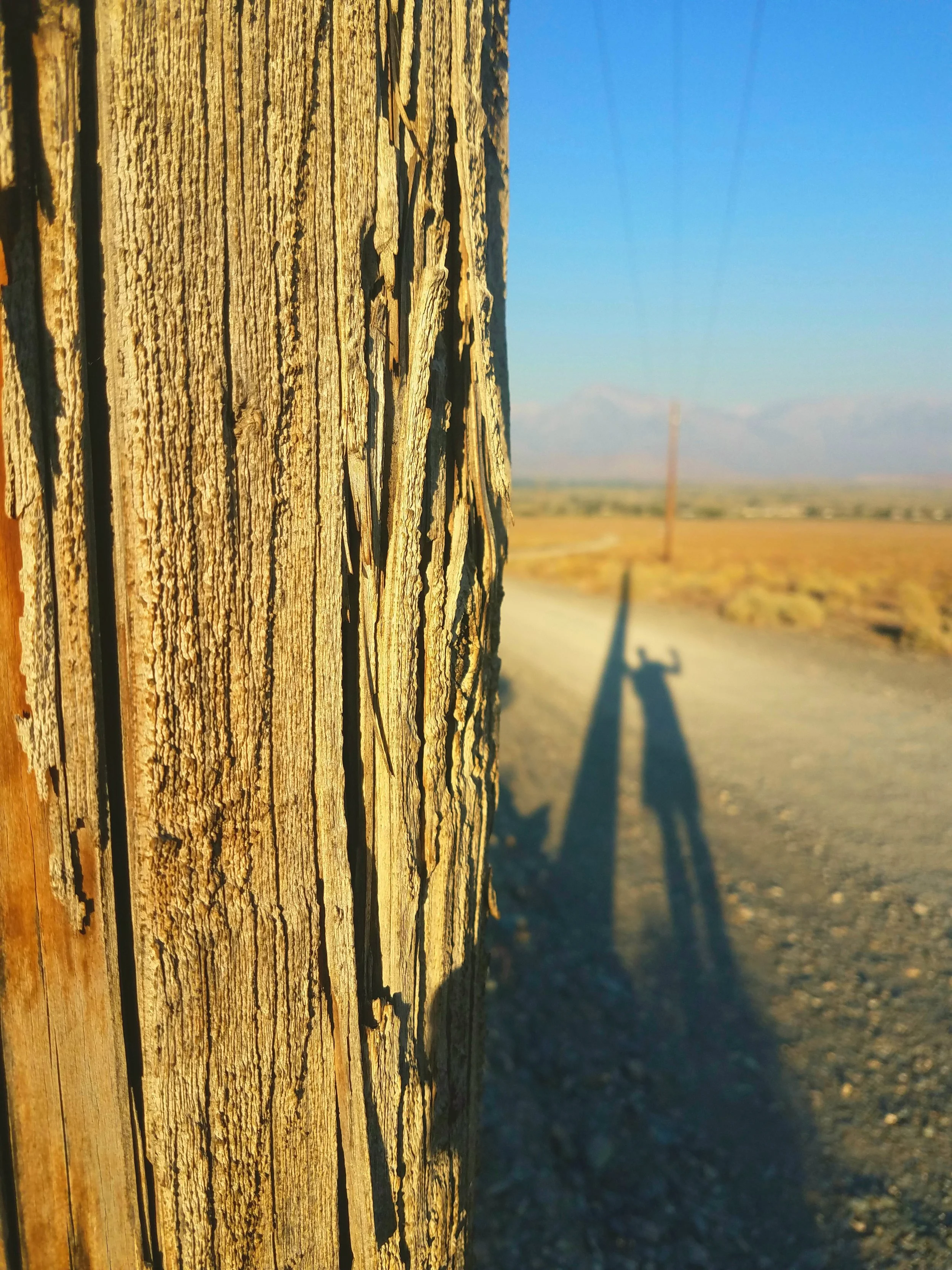 Shadow Games - Geoff Rhodes (7).jpg