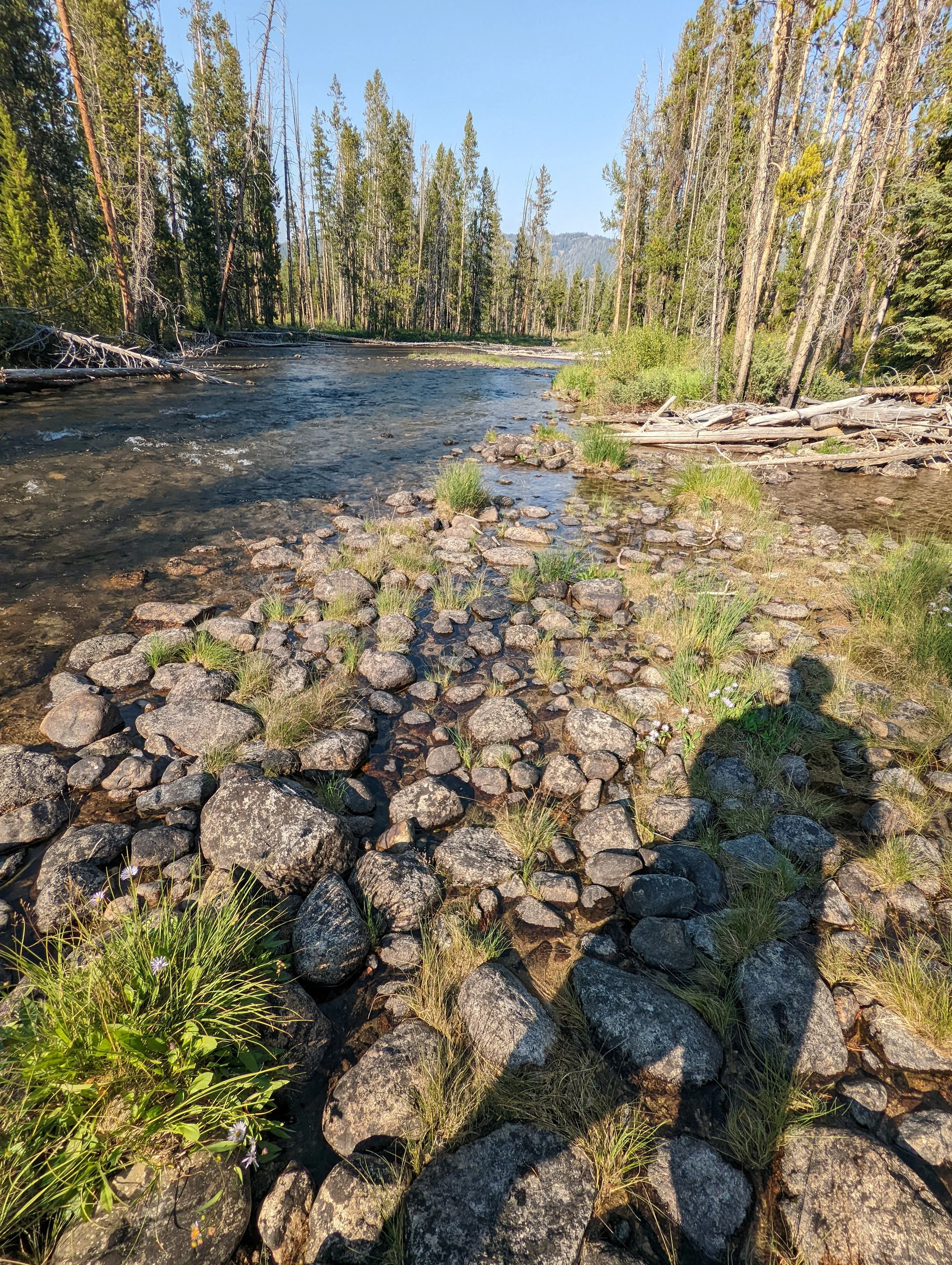 Shadow Games - Geoff Rhodes (59).jpg