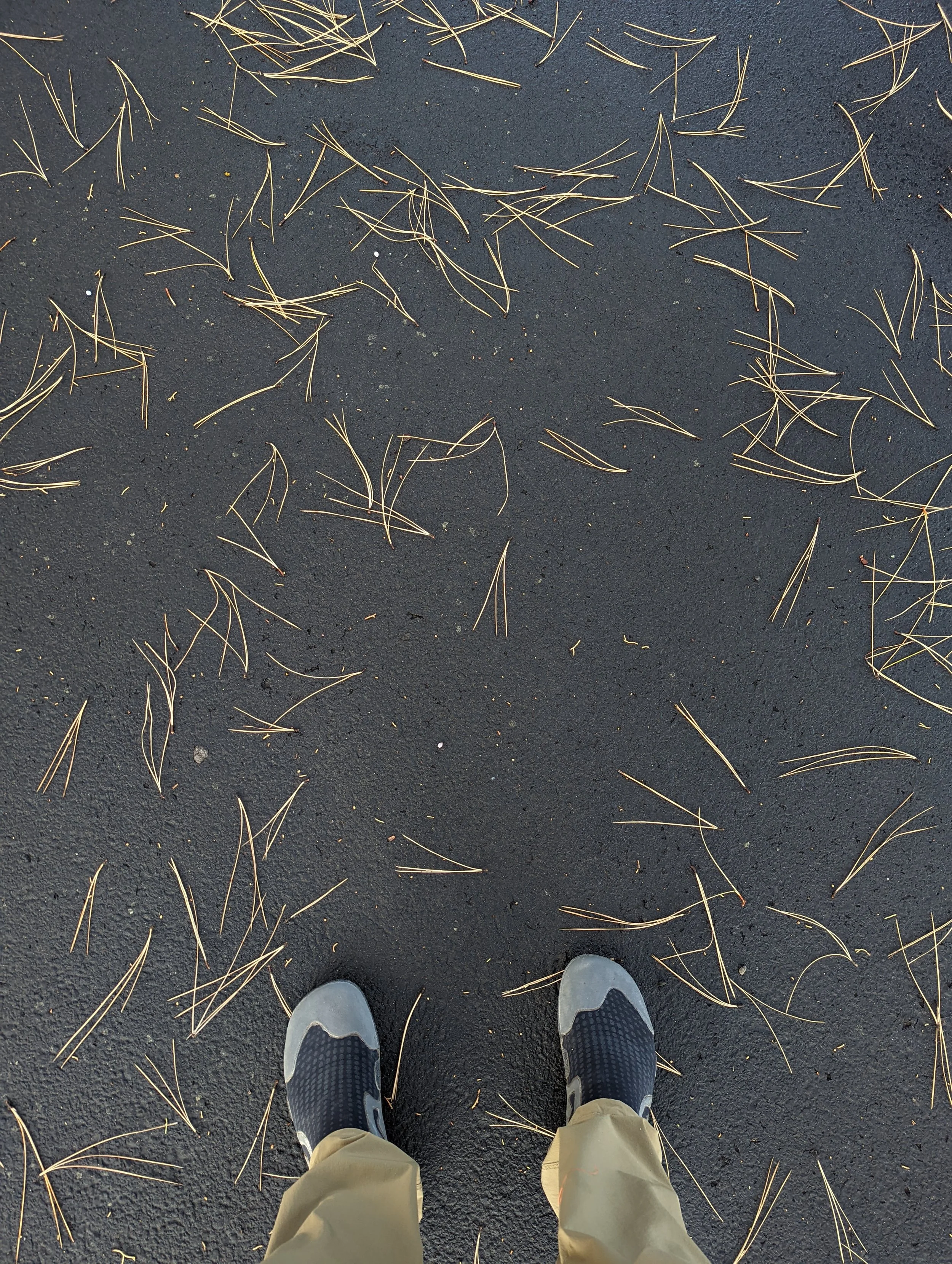 Tale of Two Soles - Geoff Rhodes - 2023 (4).jpg