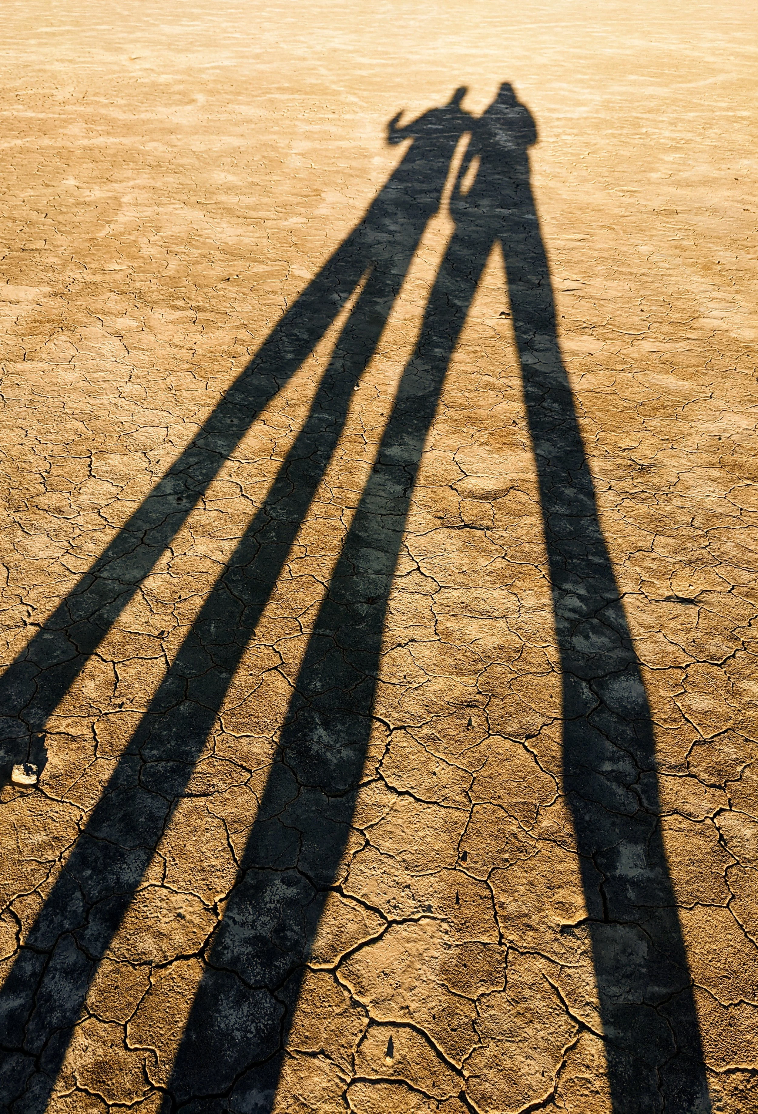 Shadow Games - Geoff Rhodes (57).jpg