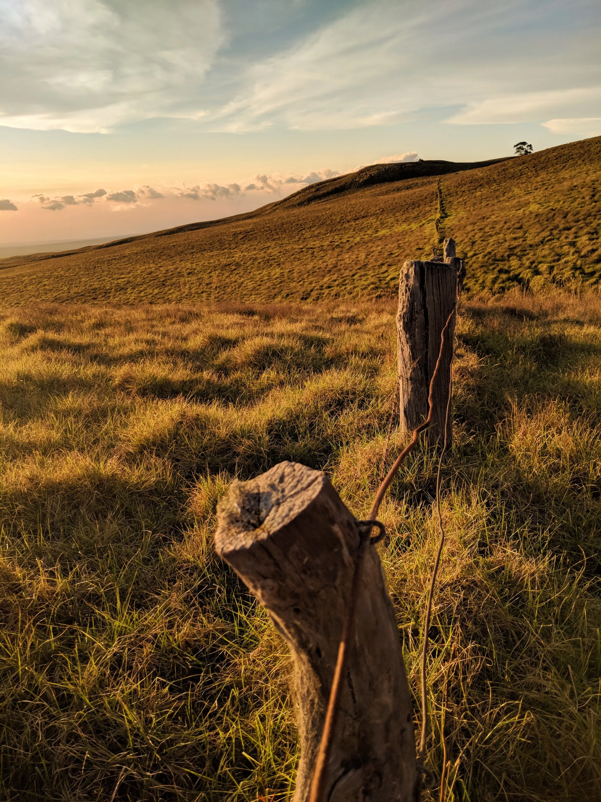 Hawaii - Geoff Rhodes - Ridgeline Creative (10).jpg