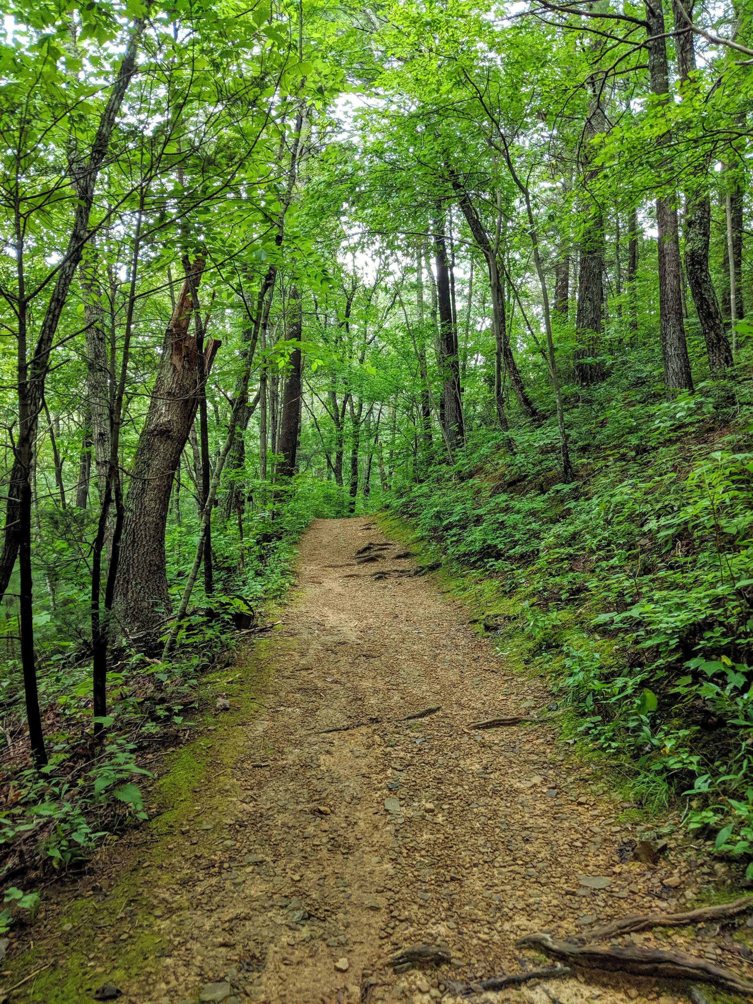 Path to Enlightenment - Geoff Rhodes (9).jpg