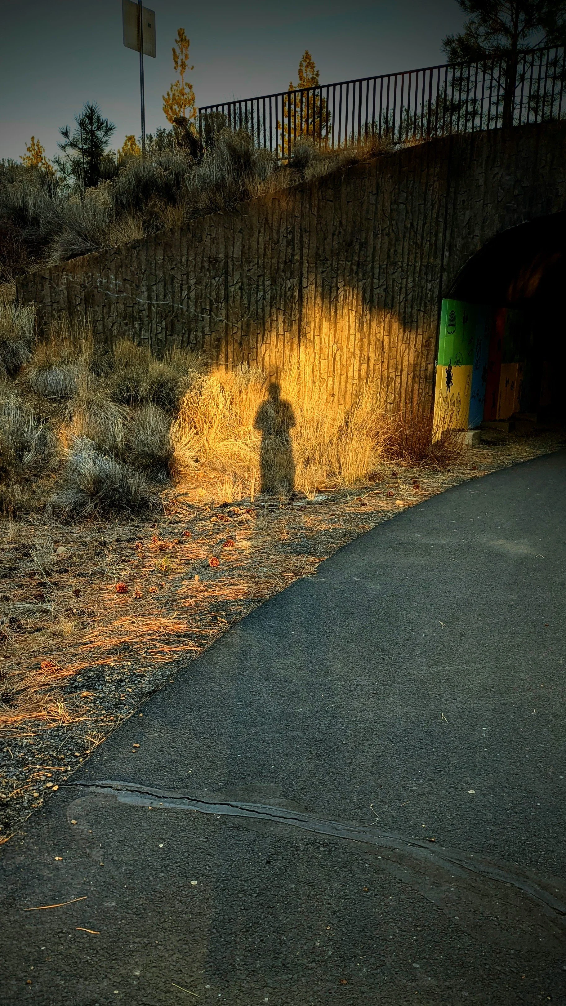 Shadow Games - v2 - Geoff Rhodes (20).jpg