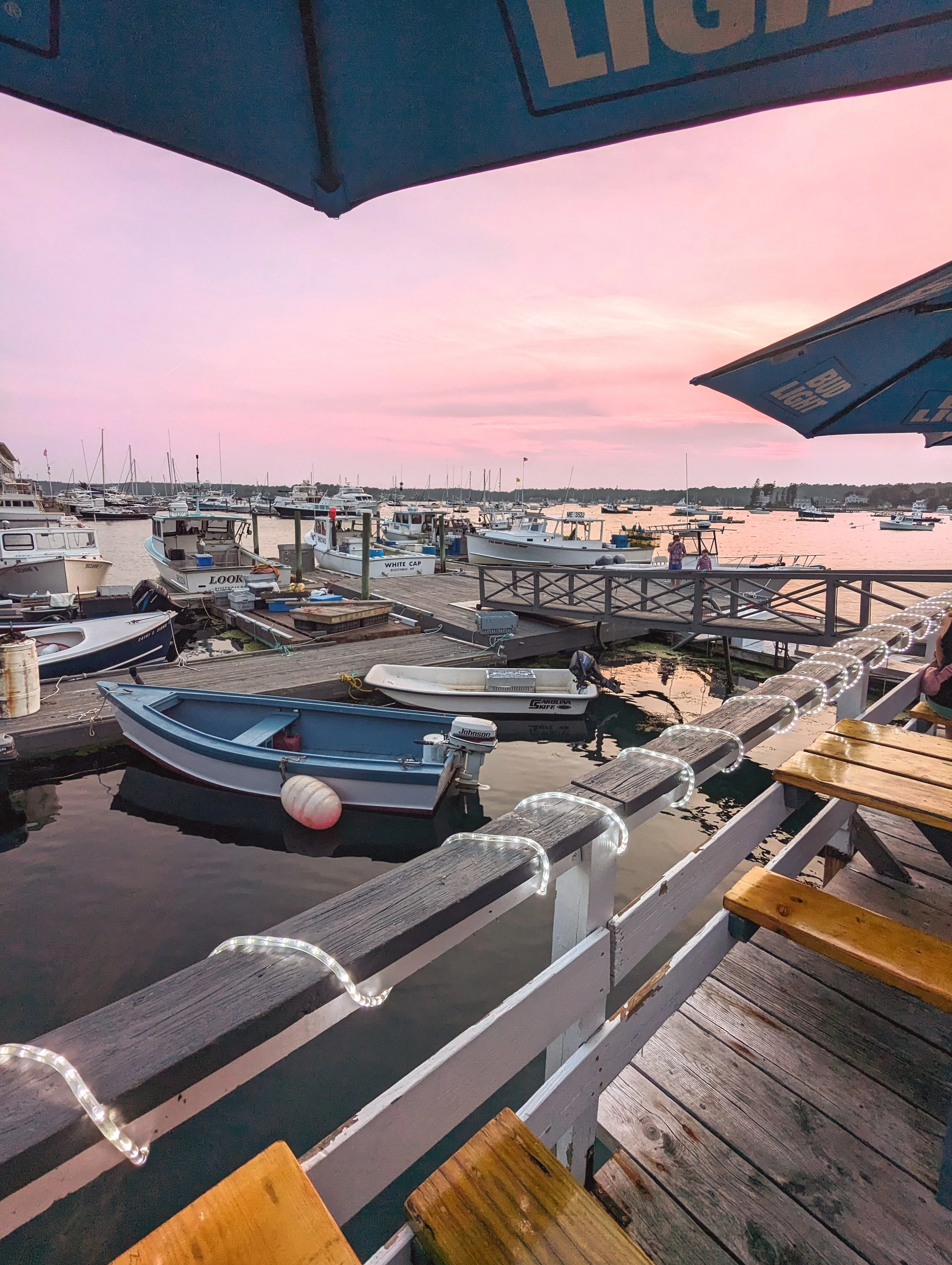 The World Around Me - Geoff Rhodes  (37).jpg